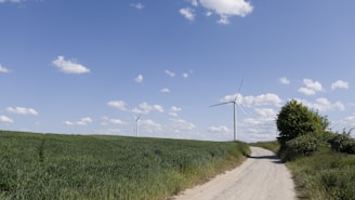 A rural landscape featuring a dirt road leading through green fields under a clear blue sky with scattered clouds. Two large wind turbines are situated in the background, surrounded by open greenery and a solitary tree.