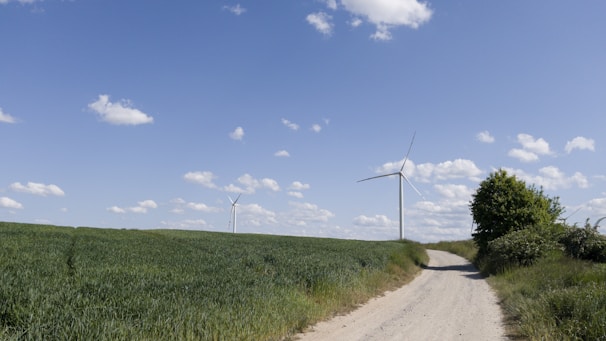 A rural landscape featuring a dirt road leading through green fields under a clear blue sky with scattered clouds. Two large wind turbines are situated in the background, surrounded by open greenery and a solitary tree.