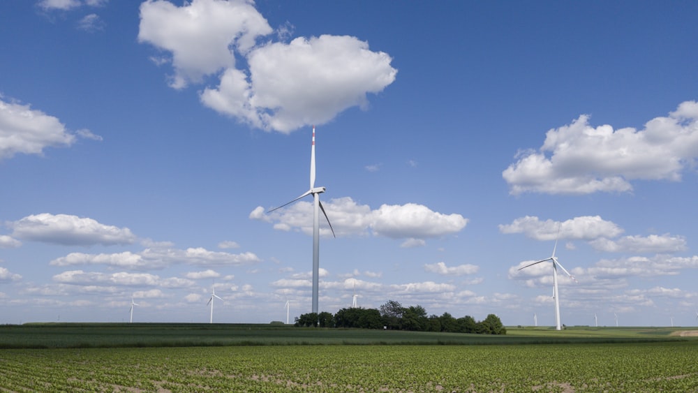 a field of crops with wind turbines in the background