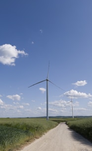 a dirt road leading to a wind farm