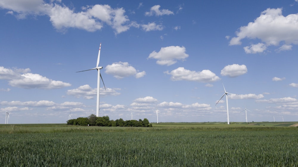 a field of green grass with wind turbines in the background