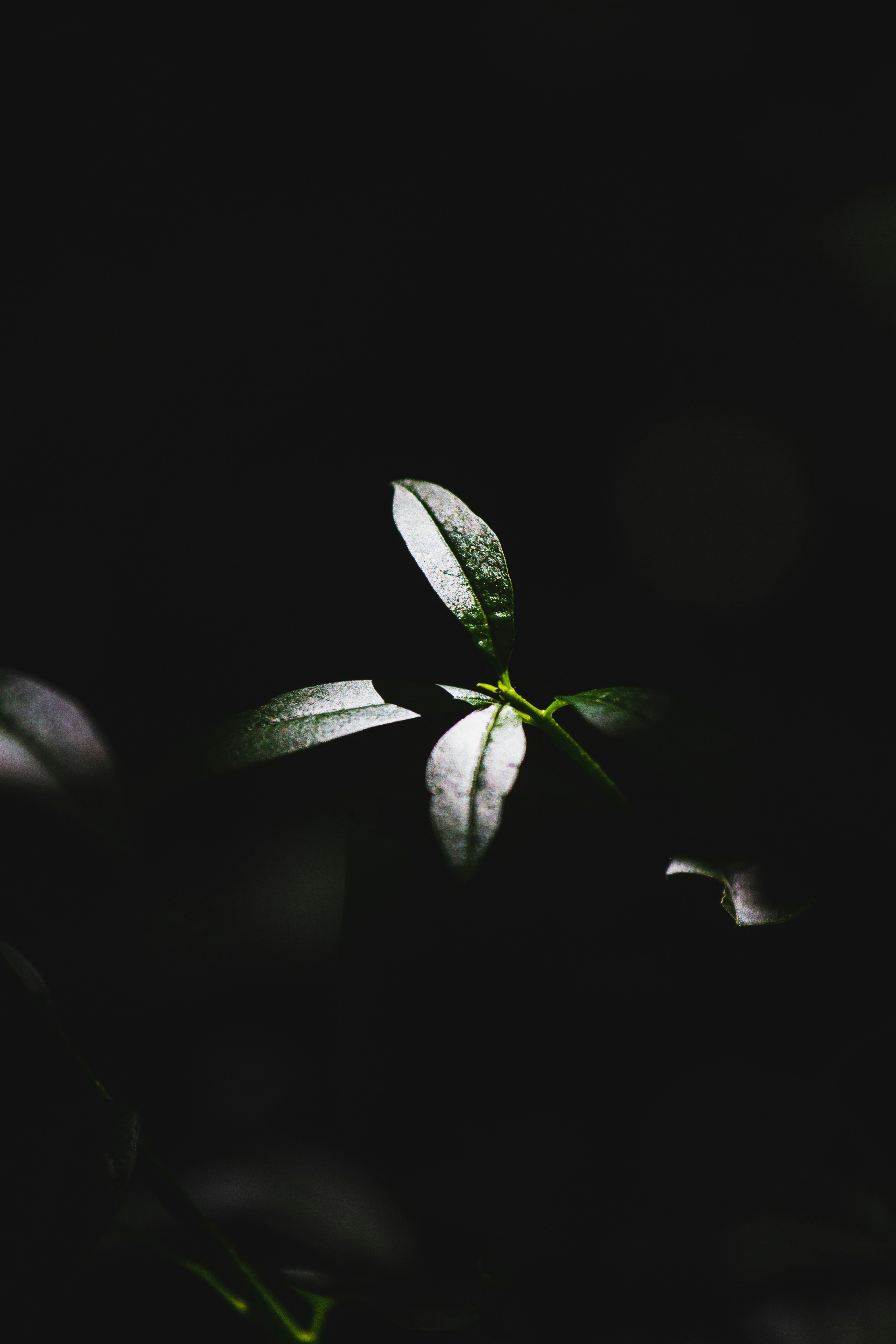 Photo by mattia_poli_04