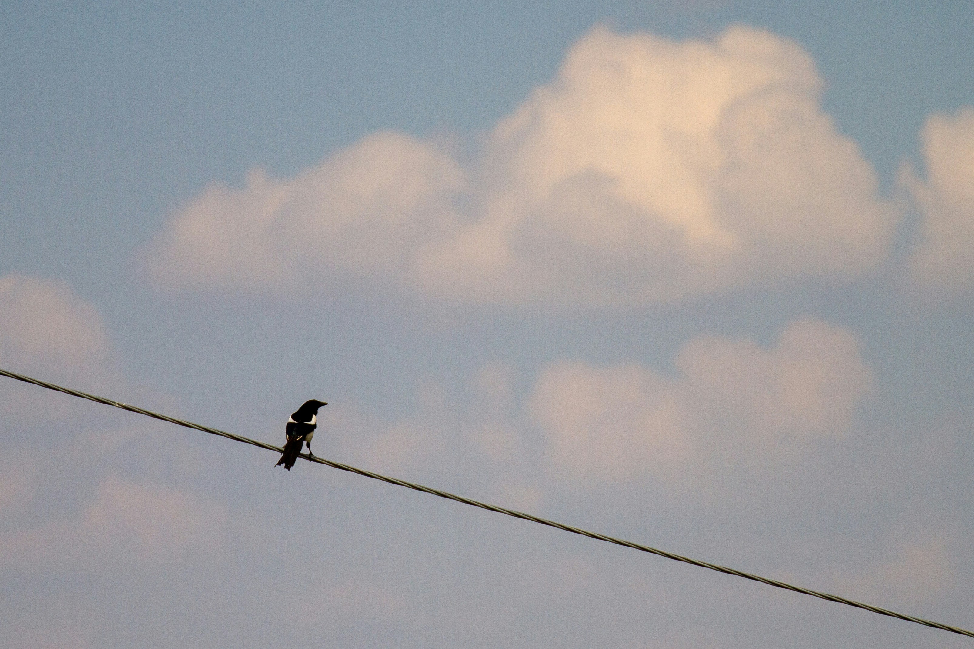 Photo by mattia_poli_04