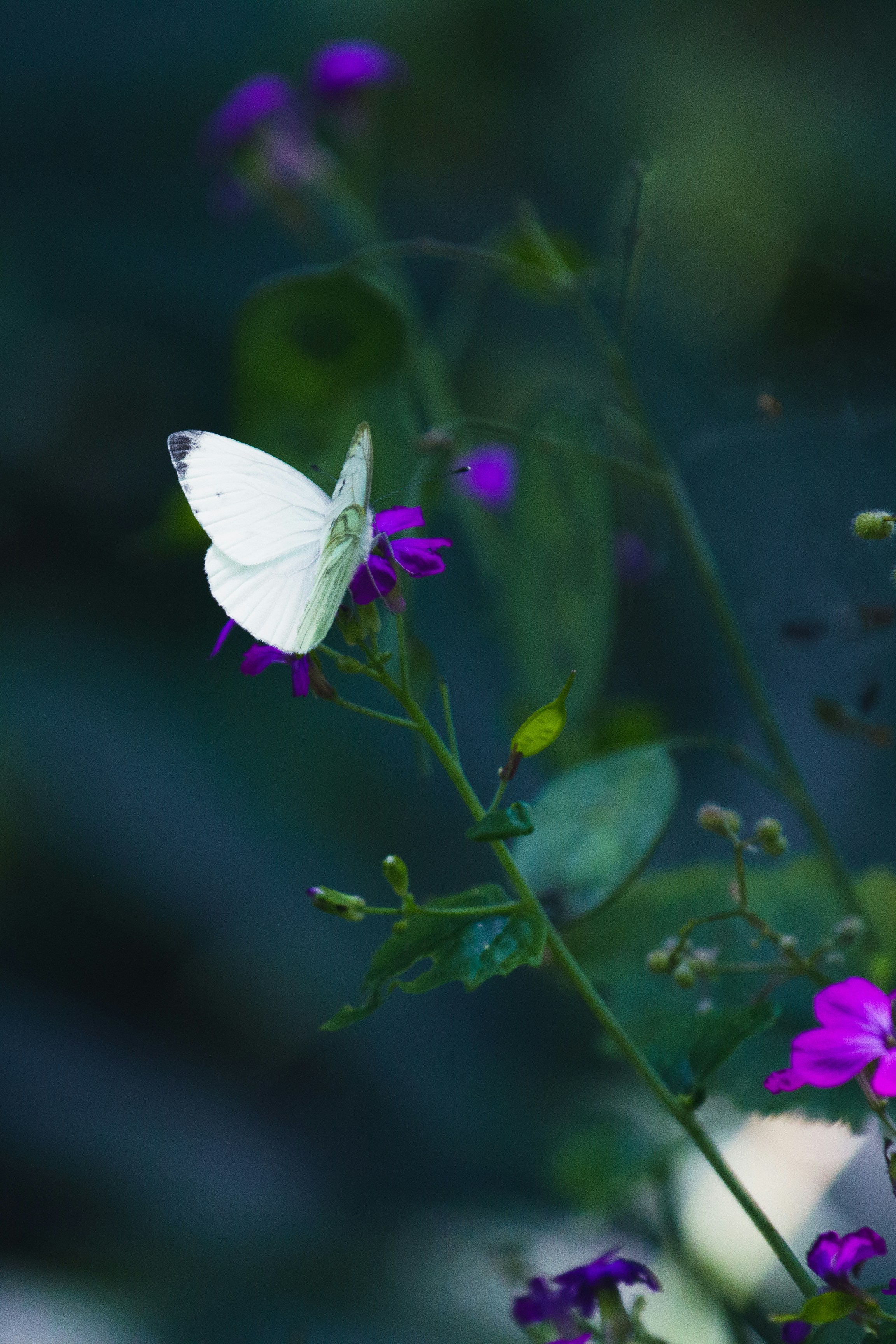 Photo by mattia_poli_04