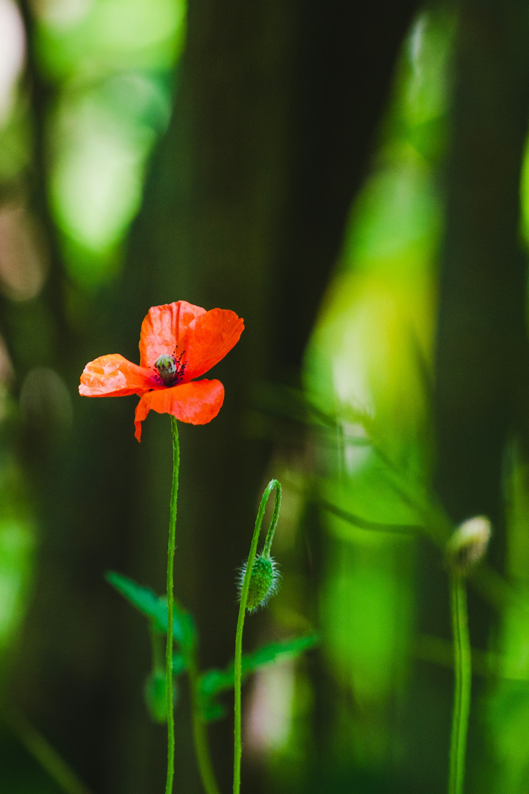 Photo by mattia_poli_04