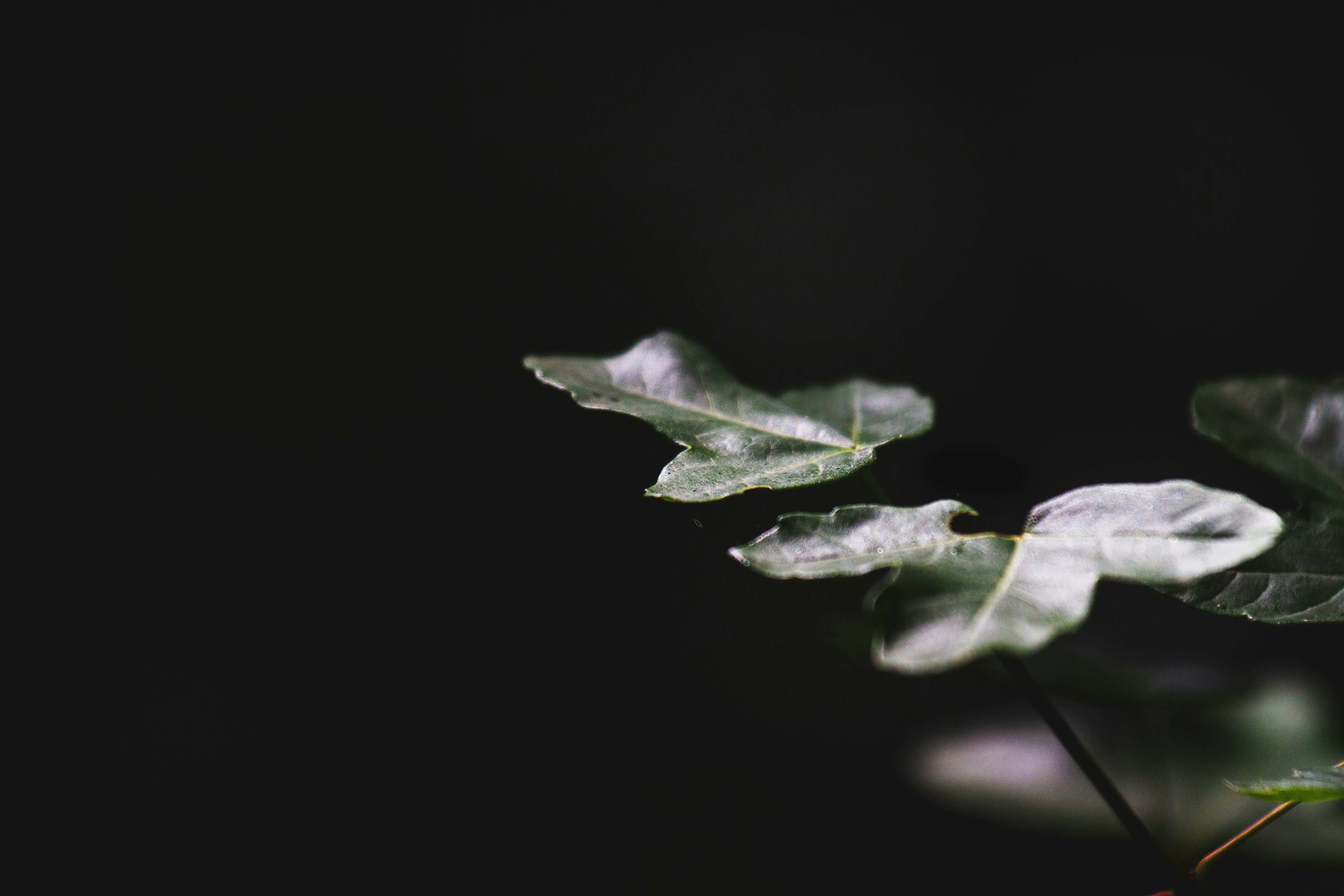 Photo by mattia_poli_04