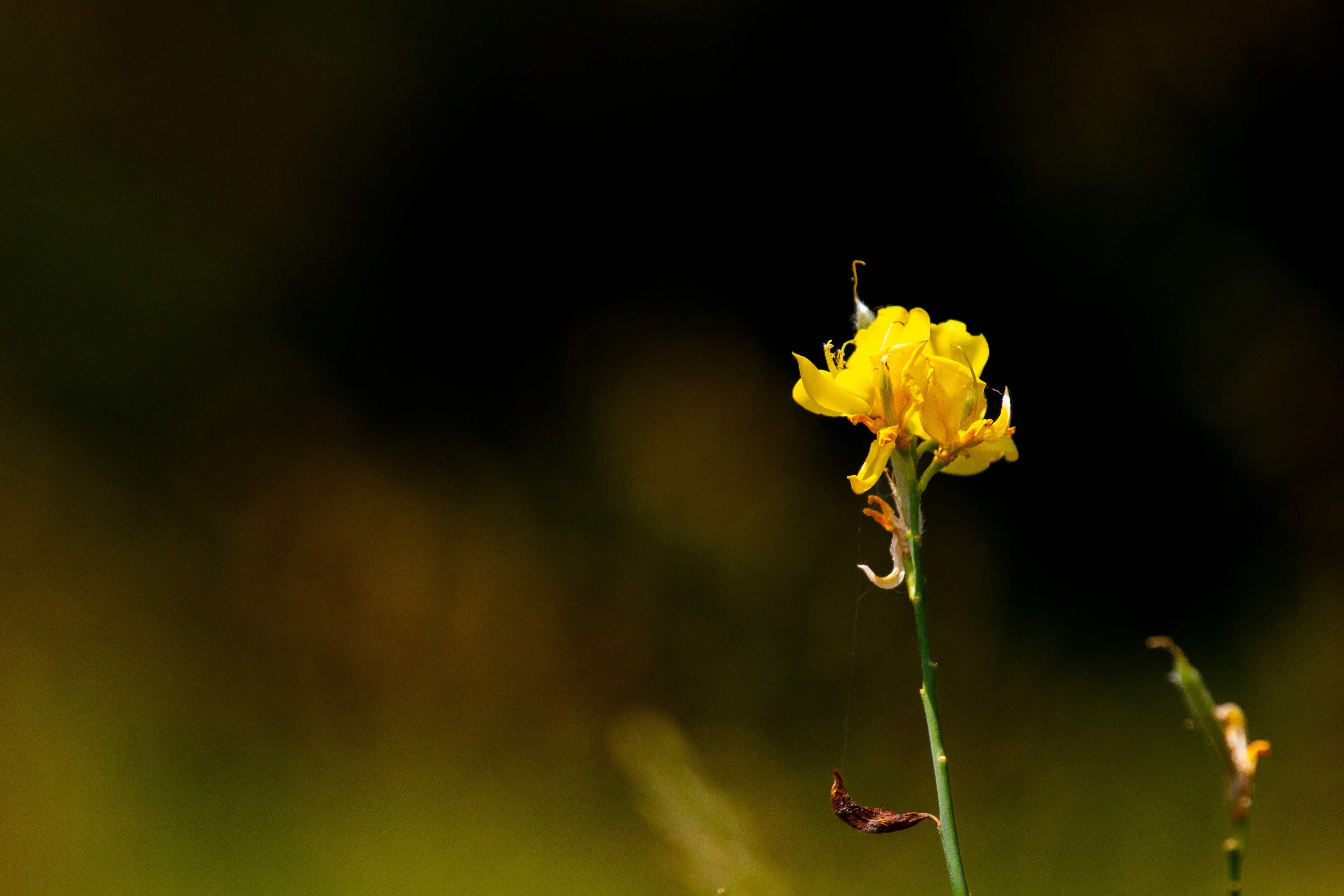 Photo by mattia_poli_04