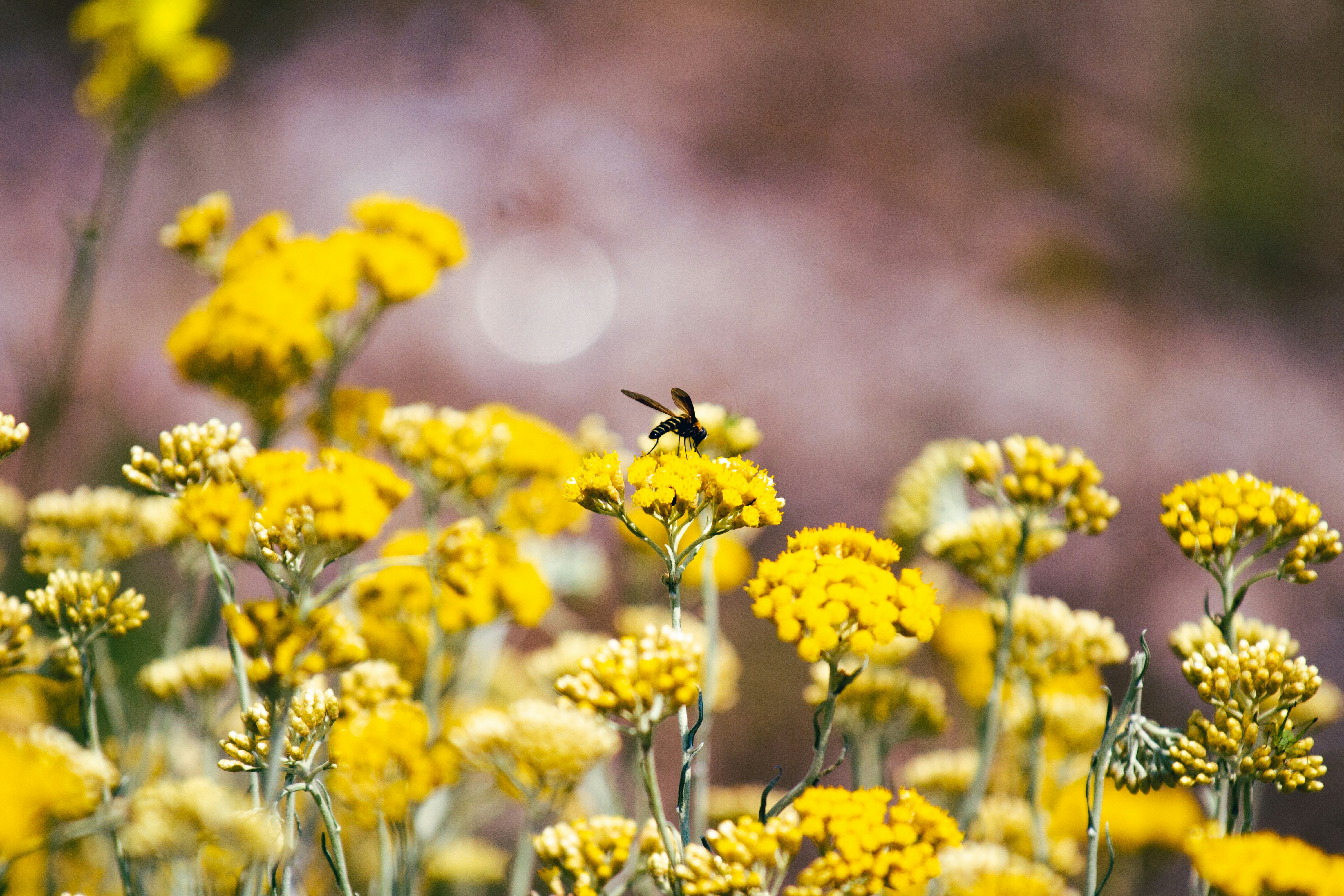 Photo by mattia_poli_04