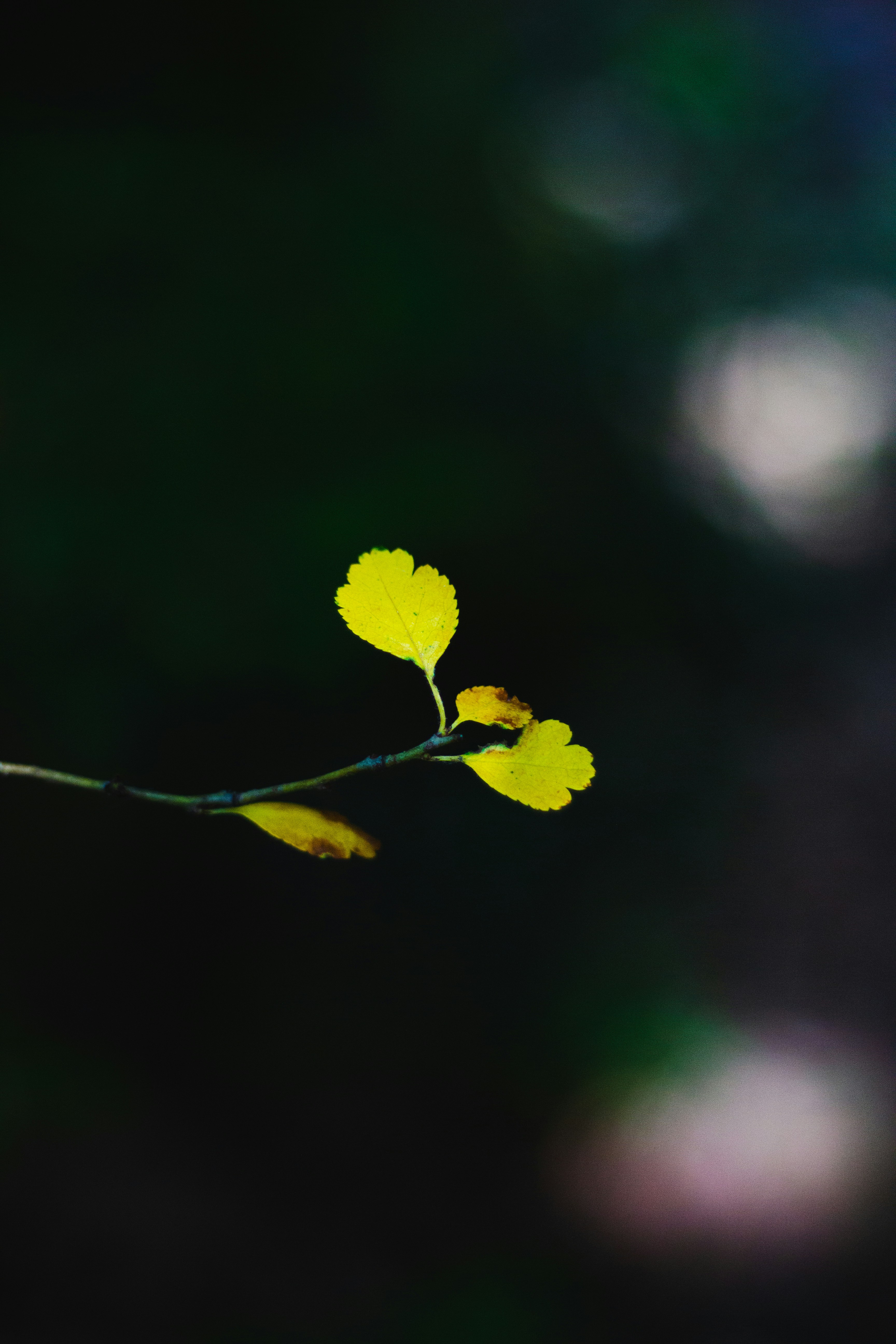 Photo by mattia_poli_04