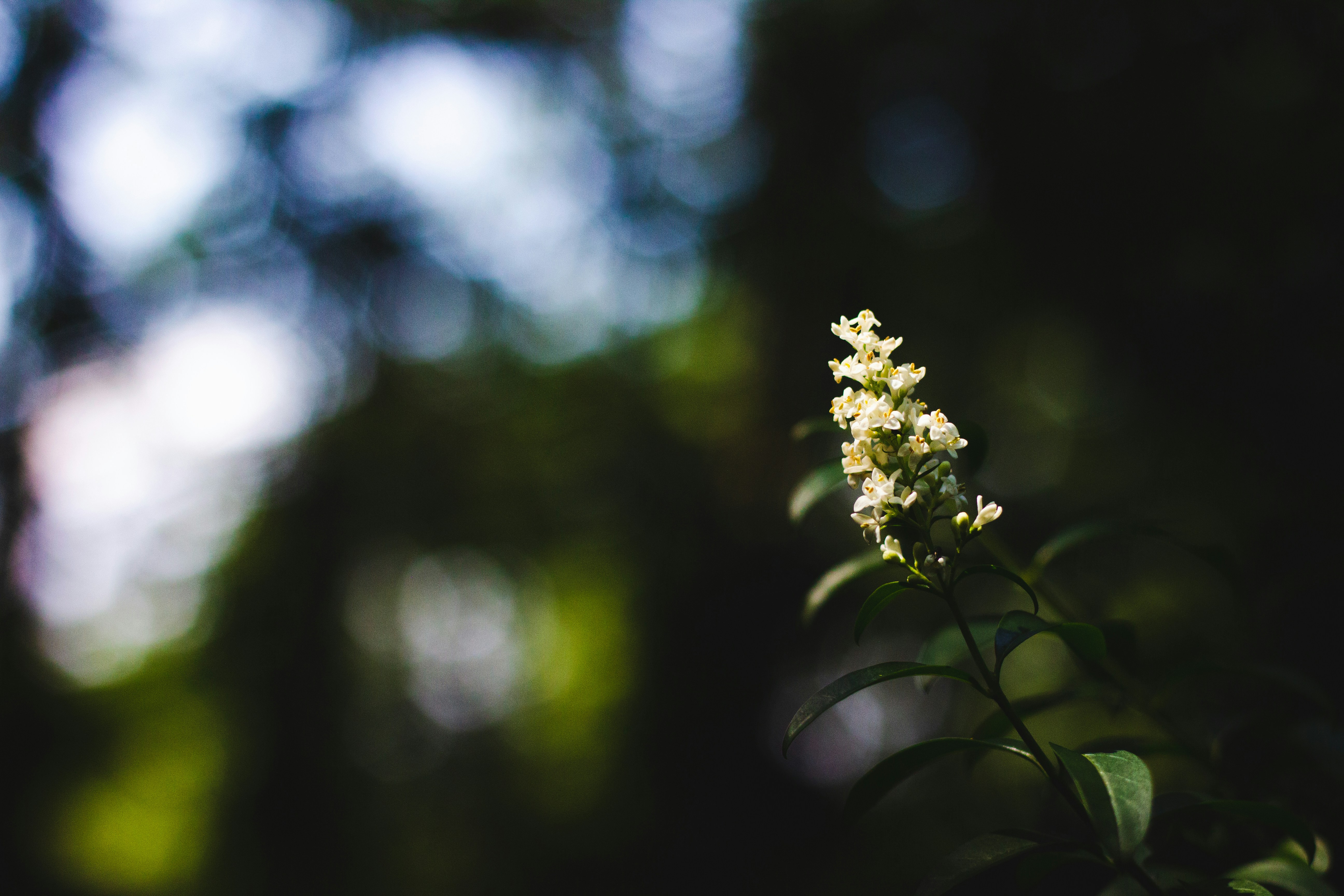 Photo by mattia_poli_04