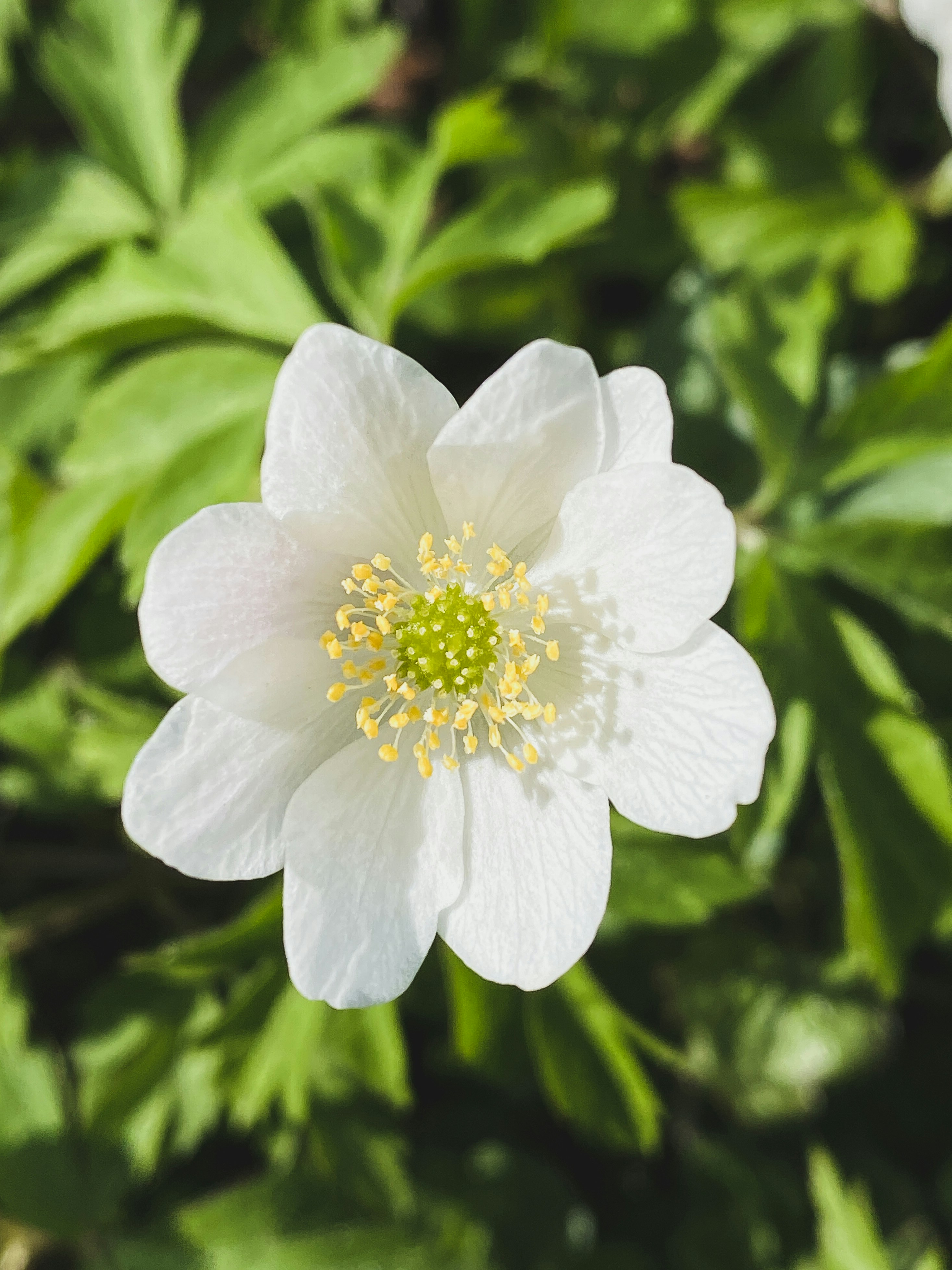 Photo by lxnndaireach