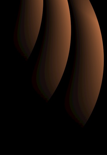 An abstract composition featuring smooth, curved shapes in gradient shades of brown and black, creating an elegant play of light and shadow.
