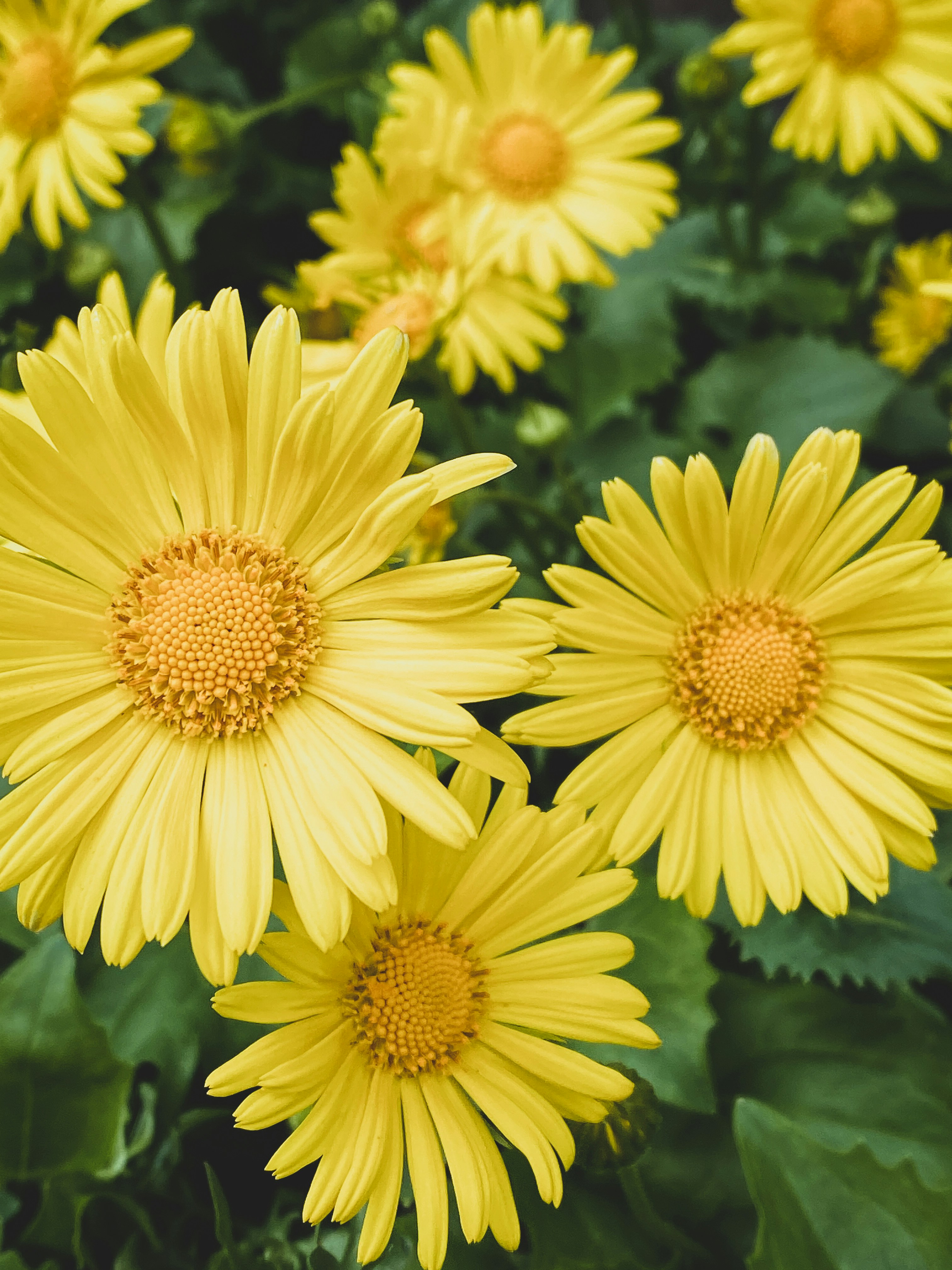 Photo by lxnndaireach