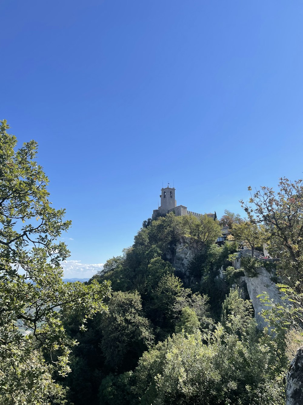 a castle on top of a hill surrounded by trees