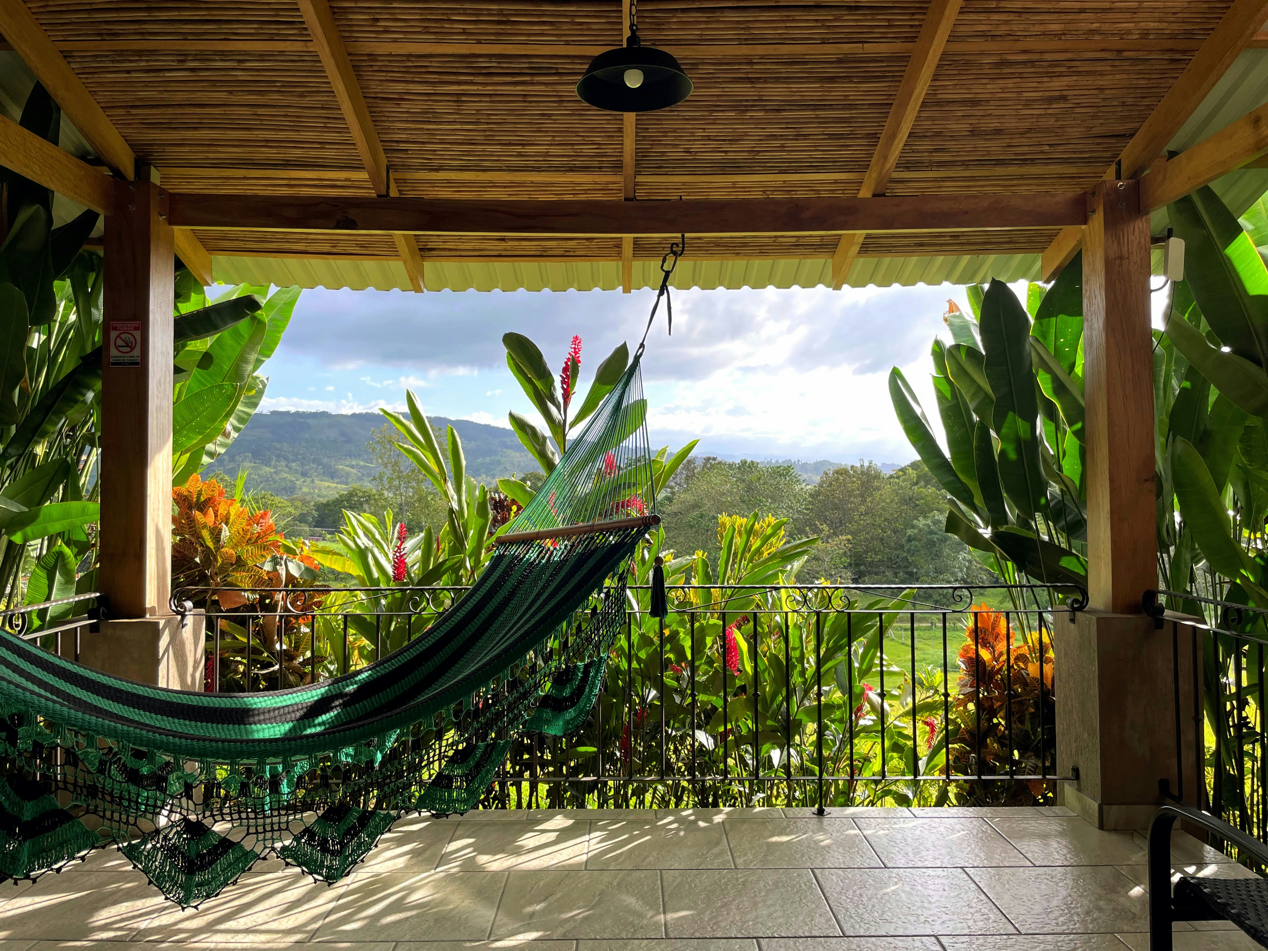 Photo by tothmarcell001