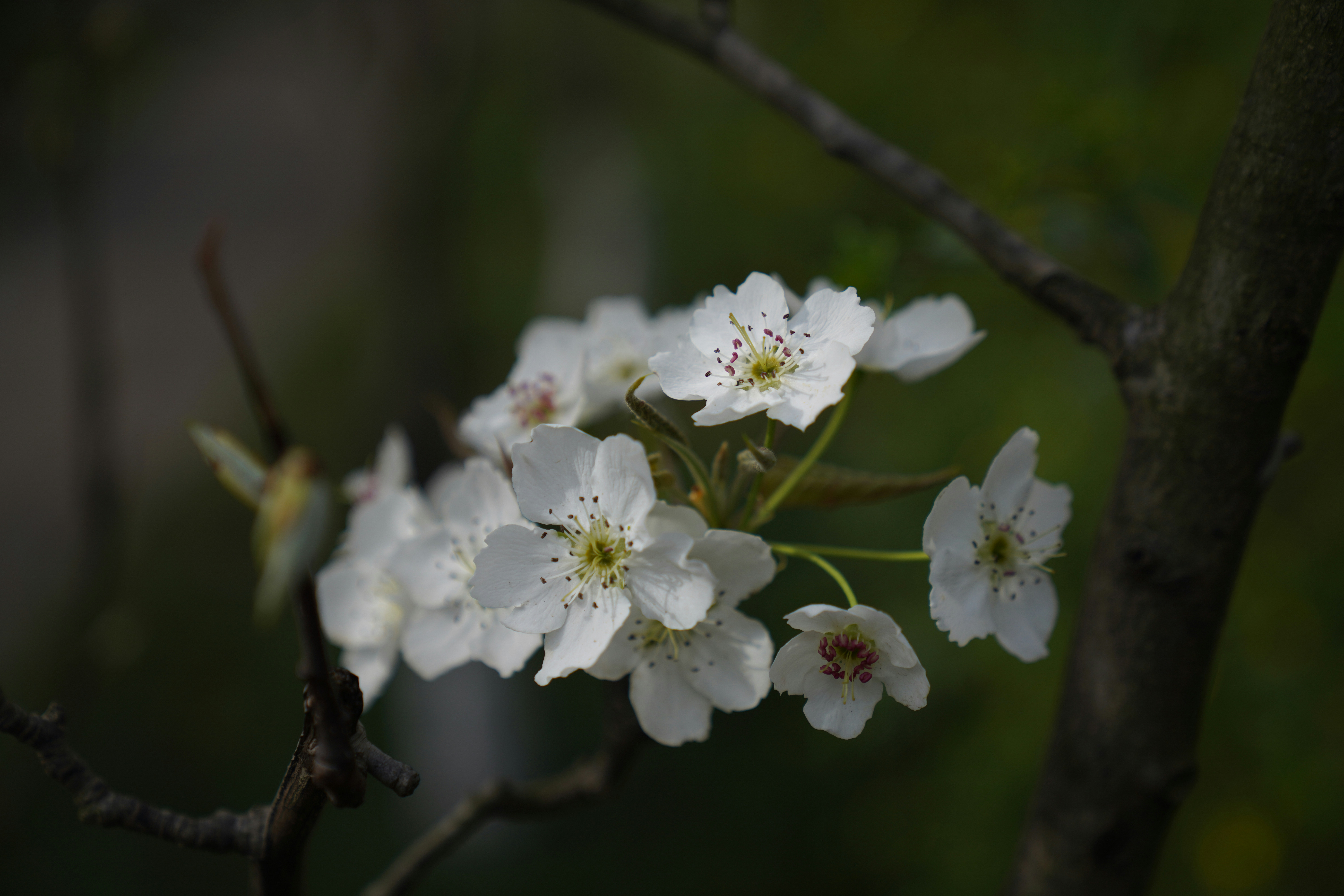 Photo by ttxiangni123