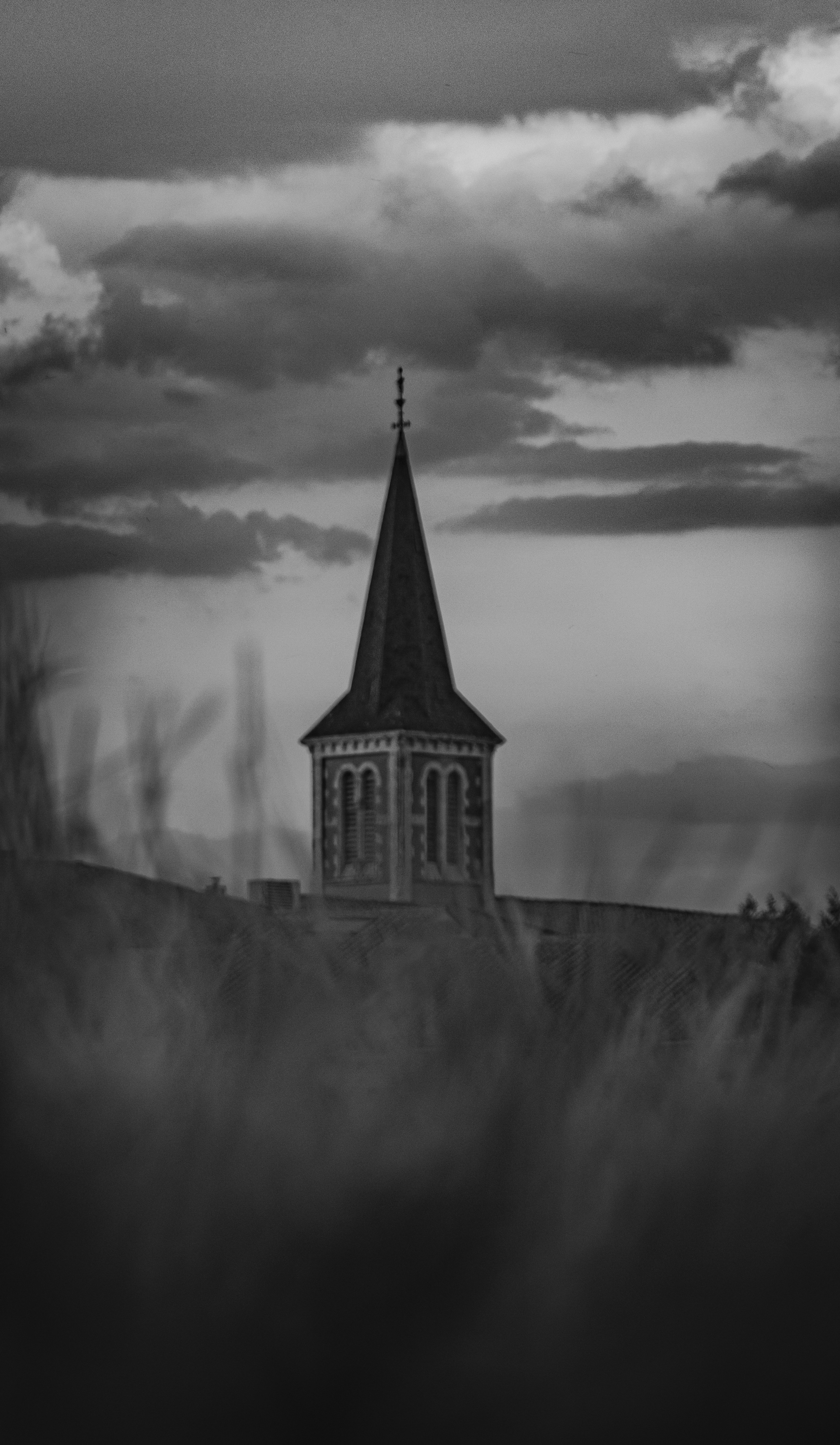 Photo by ascalaphe