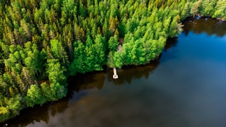 an aerial view of a lake surrounded by trees