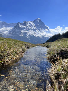 Engineers conducting hydraulic analysis by a clear mountain stream.