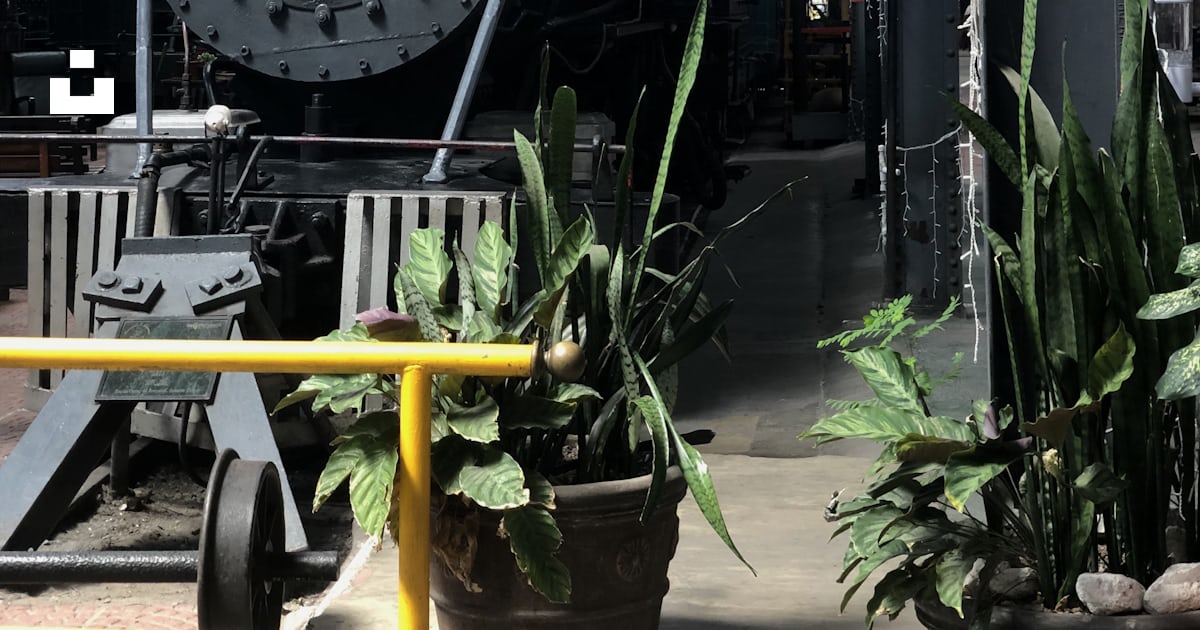 Foto Un tren está estacionado dentro de un edificio Imagen Museo del