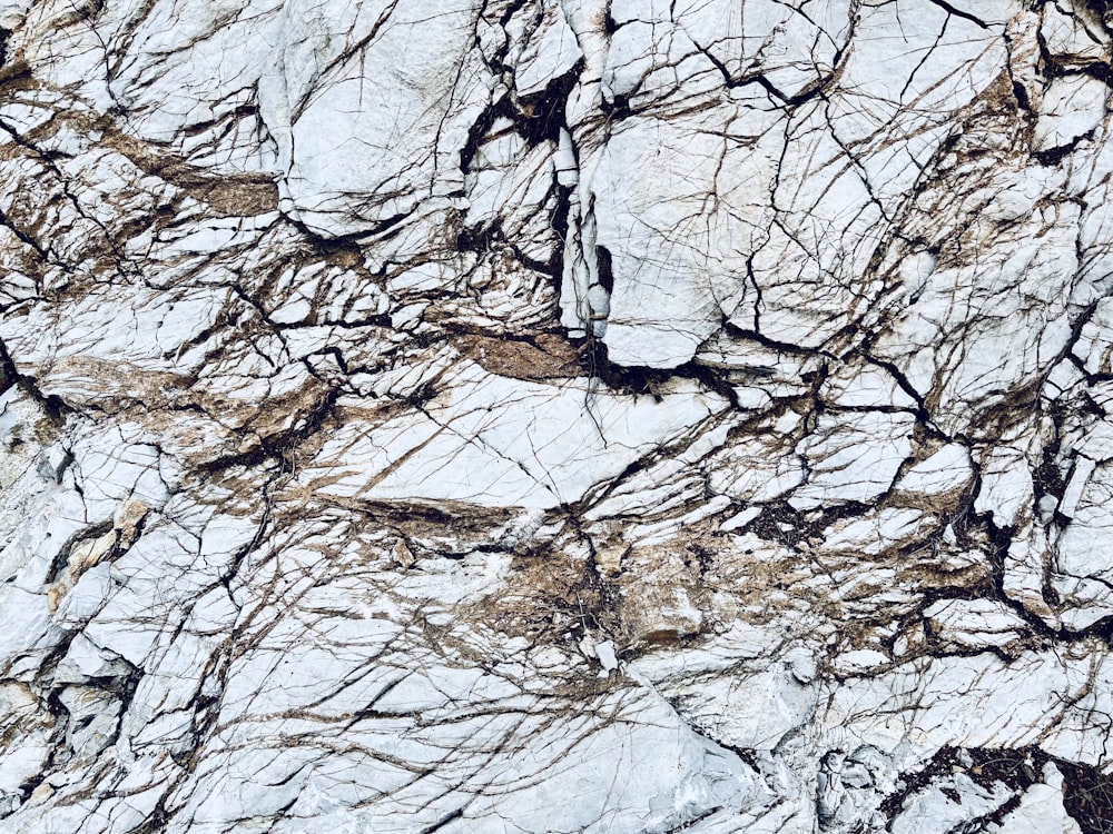 a close up of a rock with cracks in it