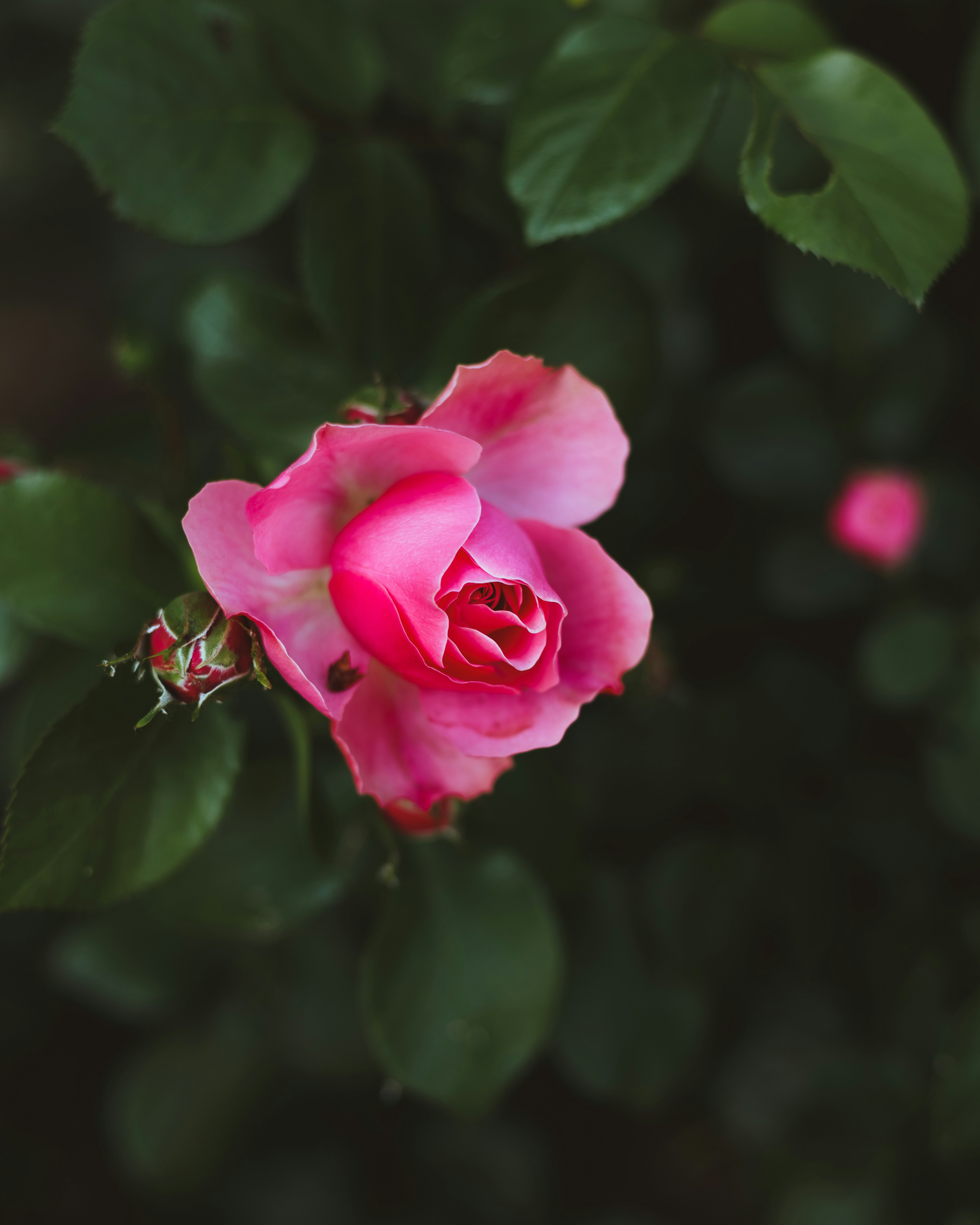 Photo by justatony
