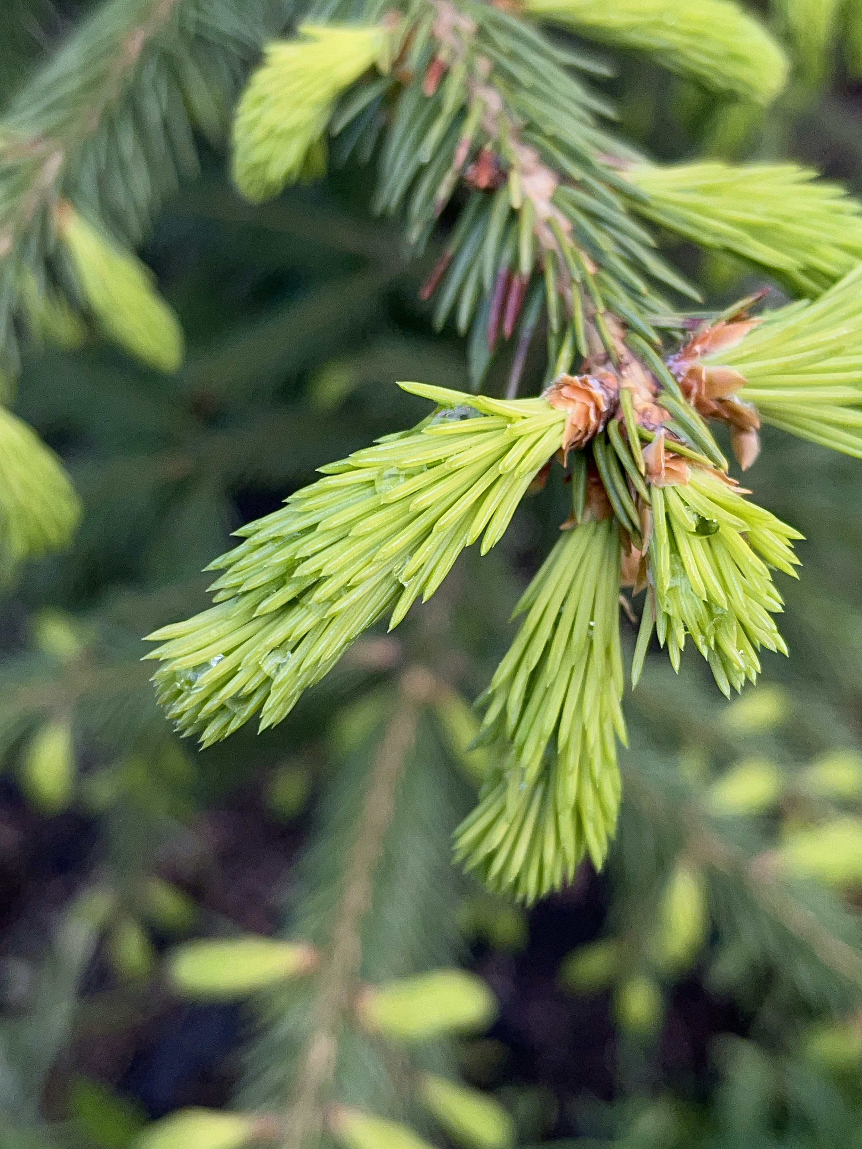 Photo by tolmachlegal