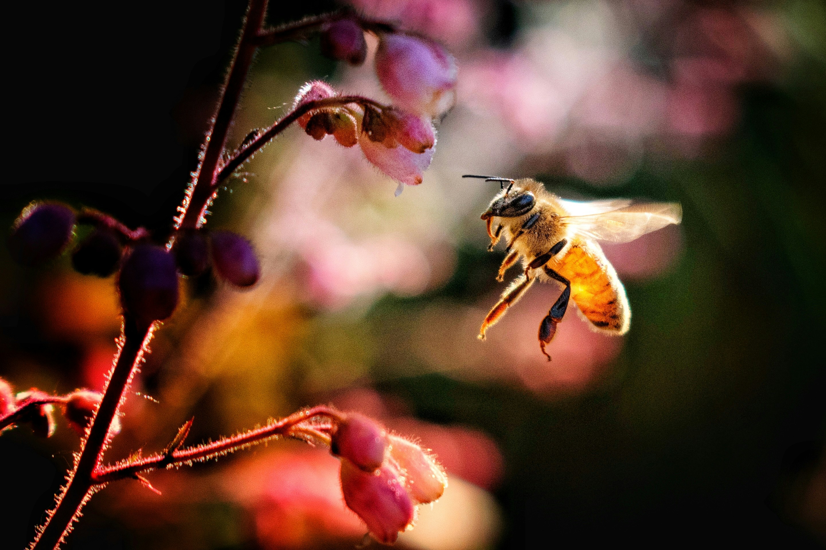 Photo by elisastonephotography