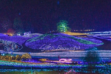 A dazzling landscape is illuminated with a vast array of colorful lights, forming intricate patterns across rolling hills. The phrase 'Life's Beautiful' is displayed prominently in lights. A large tree, also lit, stands in the background with various other lights outlining figures and shapes, enhancing the enchanting atmosphere.