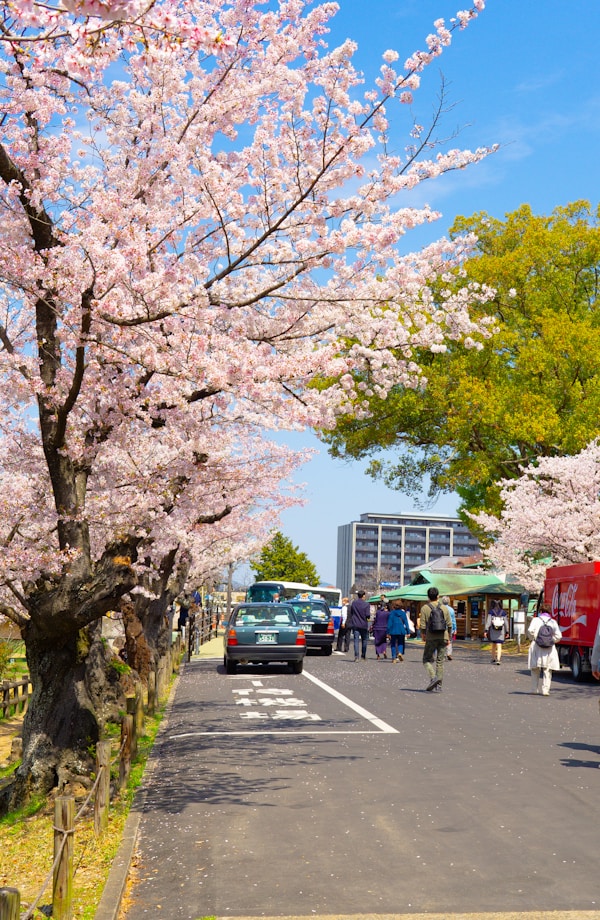 What to see in Okayama: Travel Guide for Exploring the City