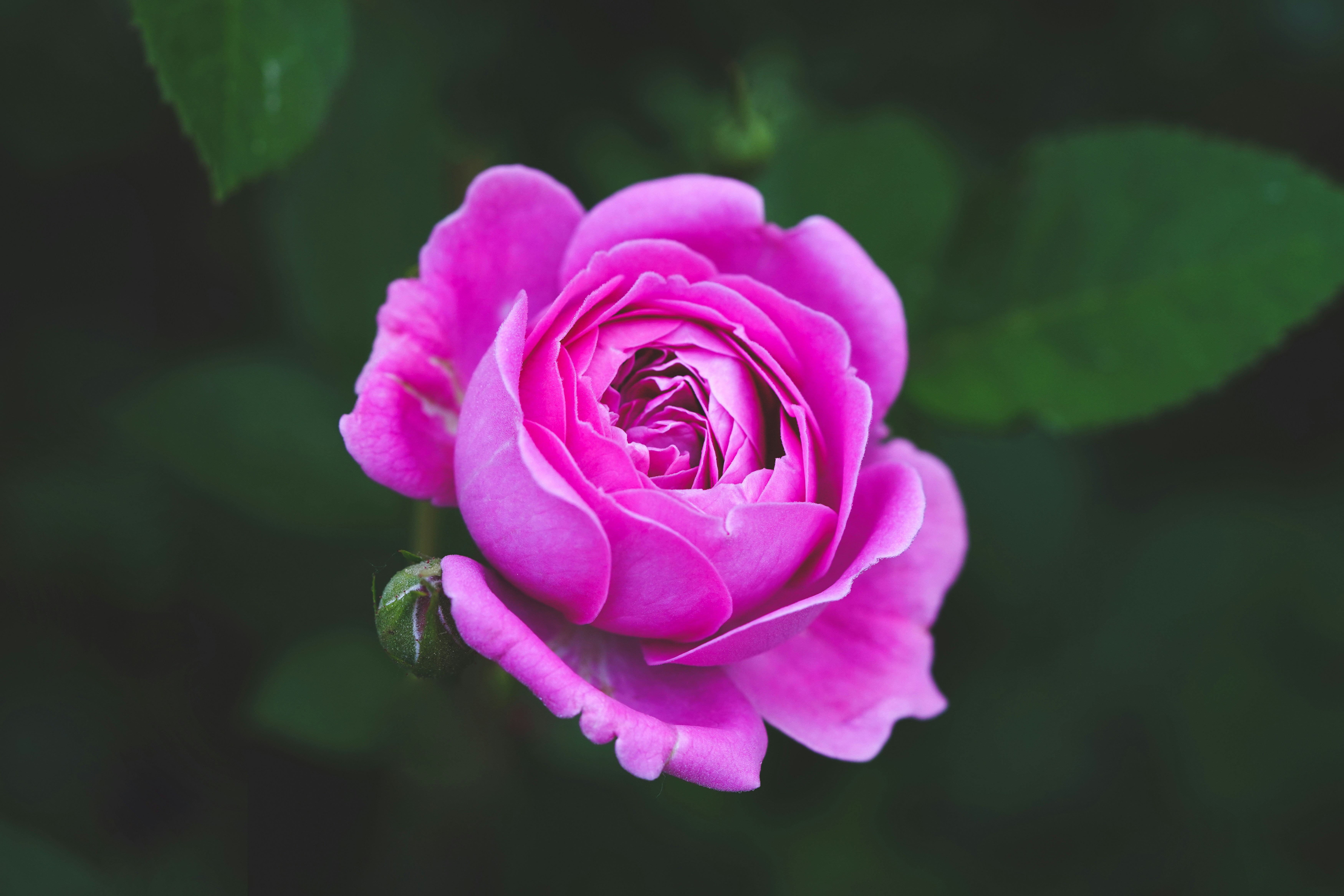 Photo by kim_dae_jeung