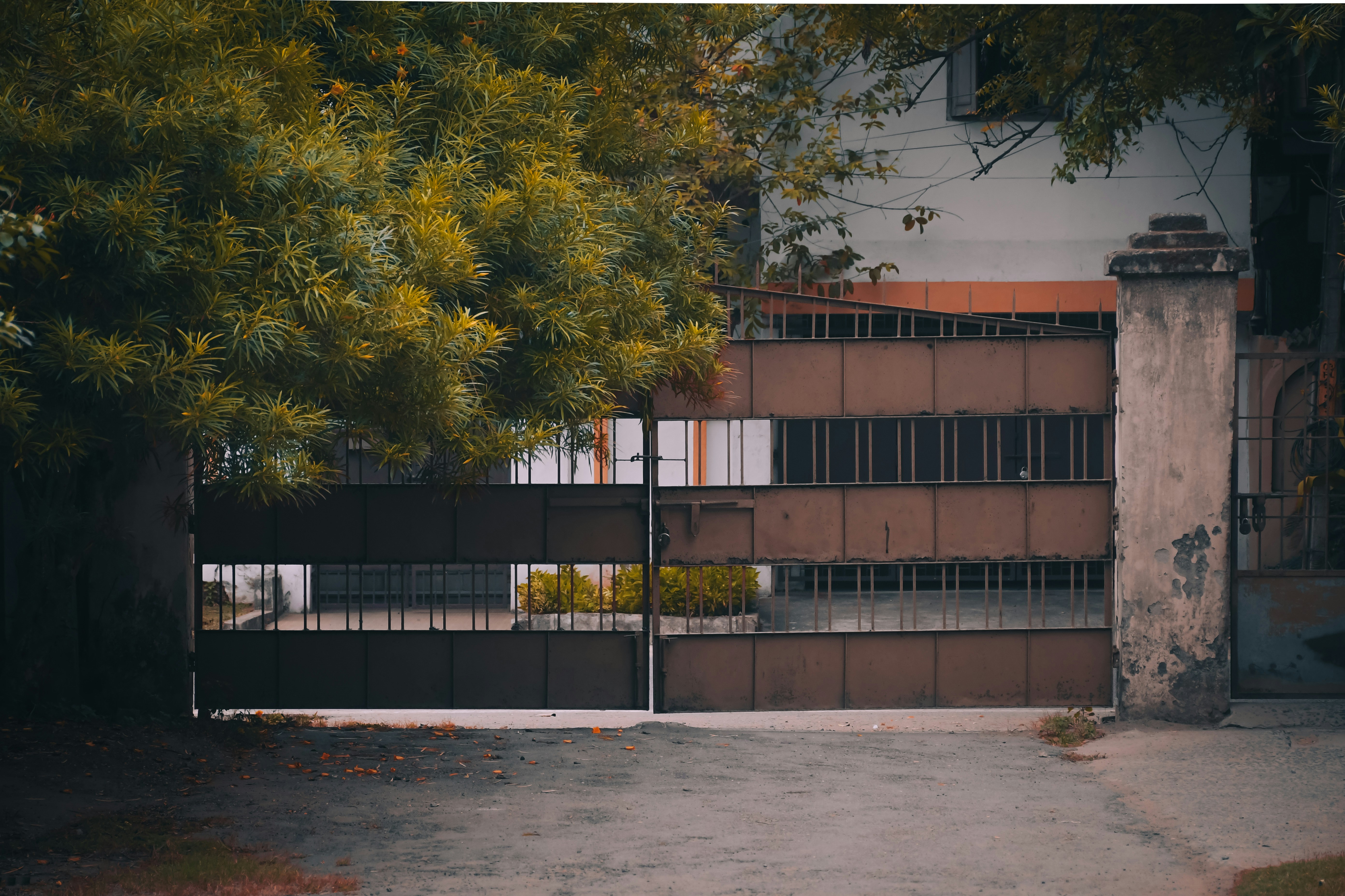 Photo by abhaya