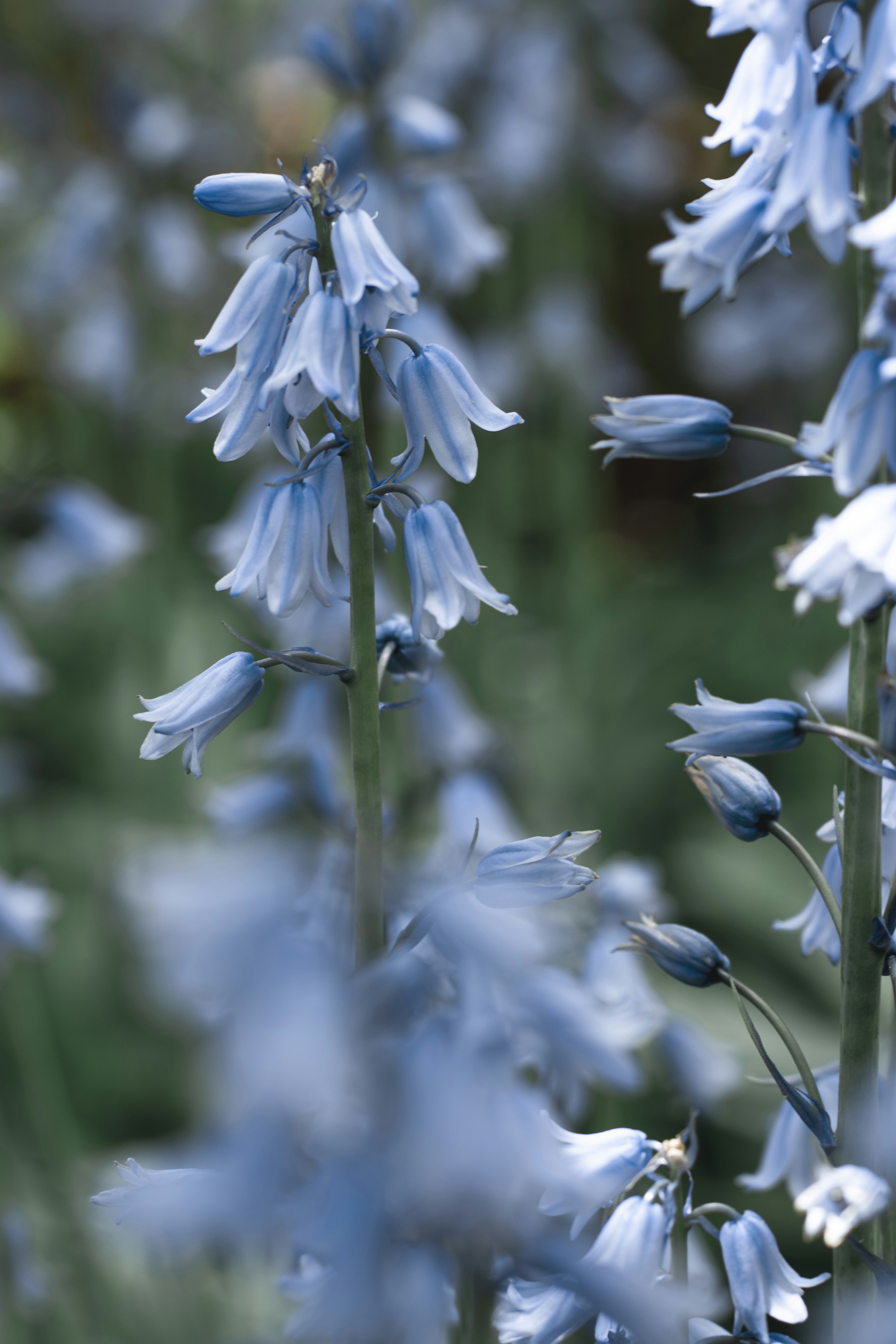 Photo by tayannphoto