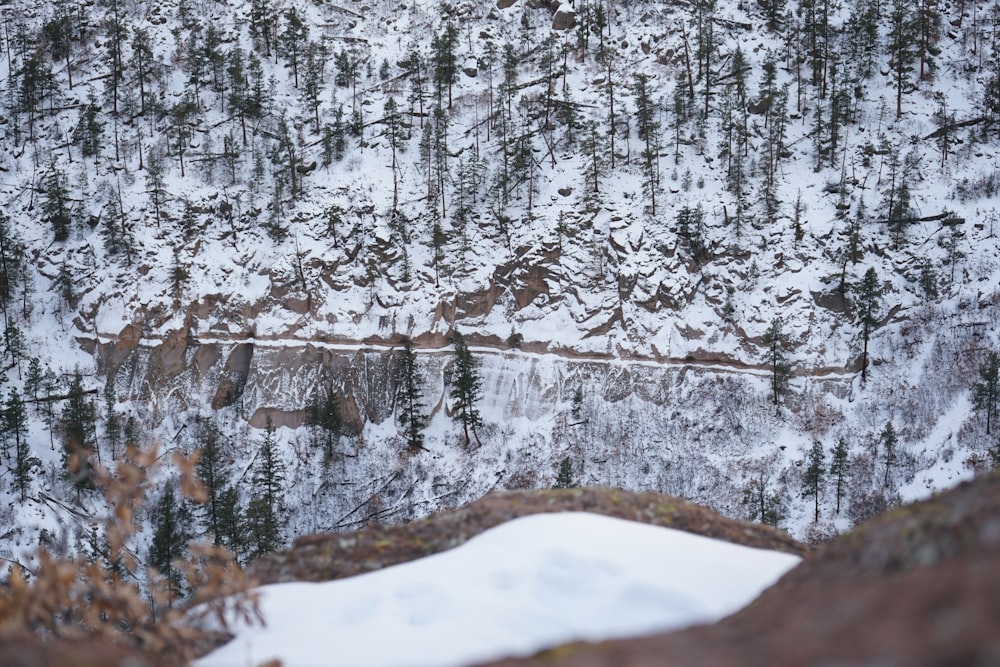 a snow covered mountain with a road going through it