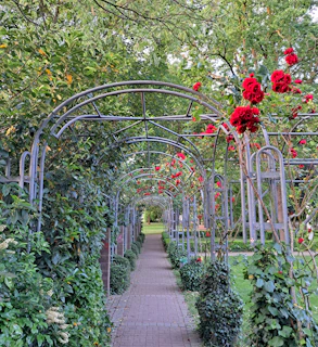 A pathway lined with blooming red roses leading to a peaceful retreat cabin