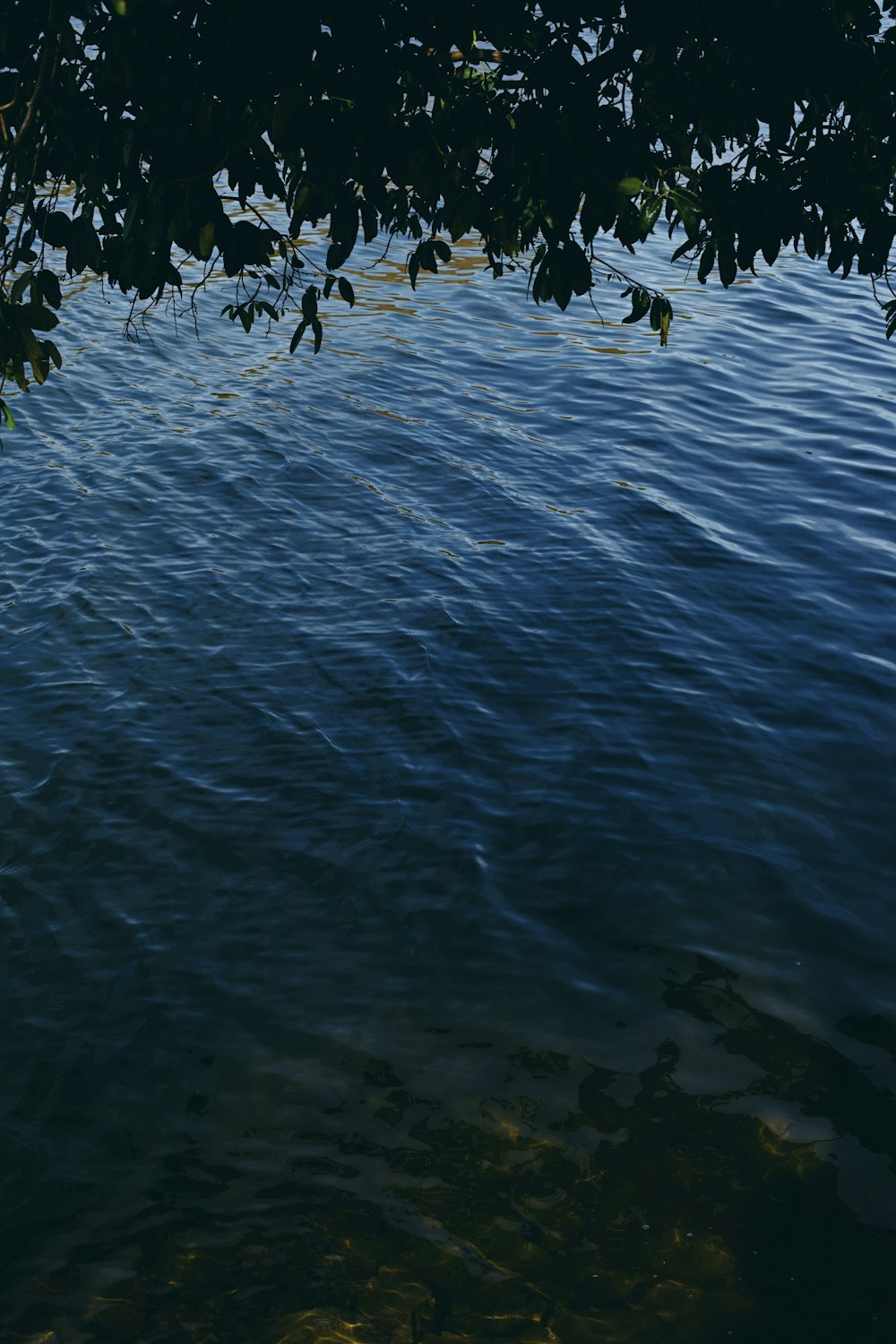 a boat floating on top of a body of water