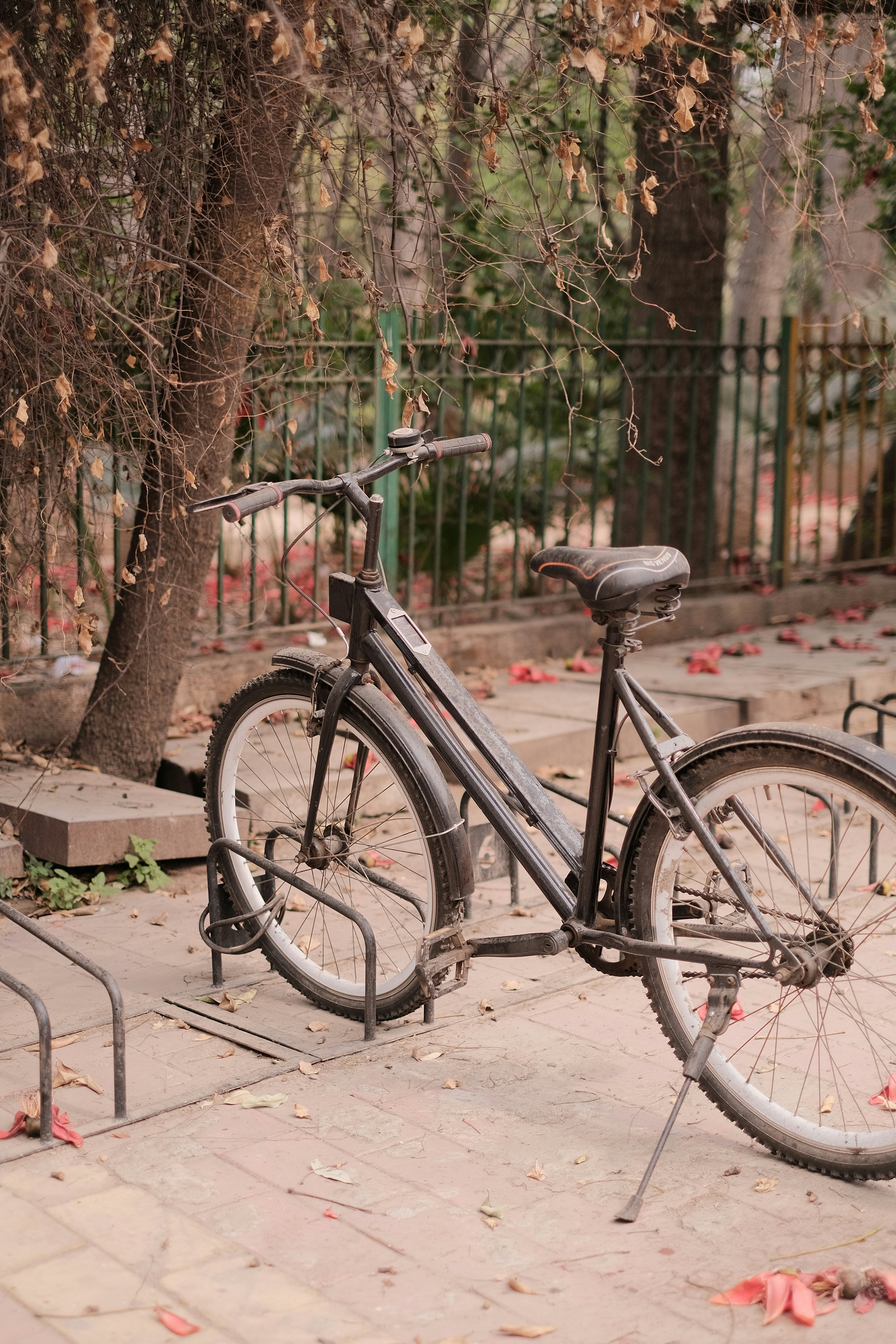 a bicycle parked on a sidewalk next to a tree