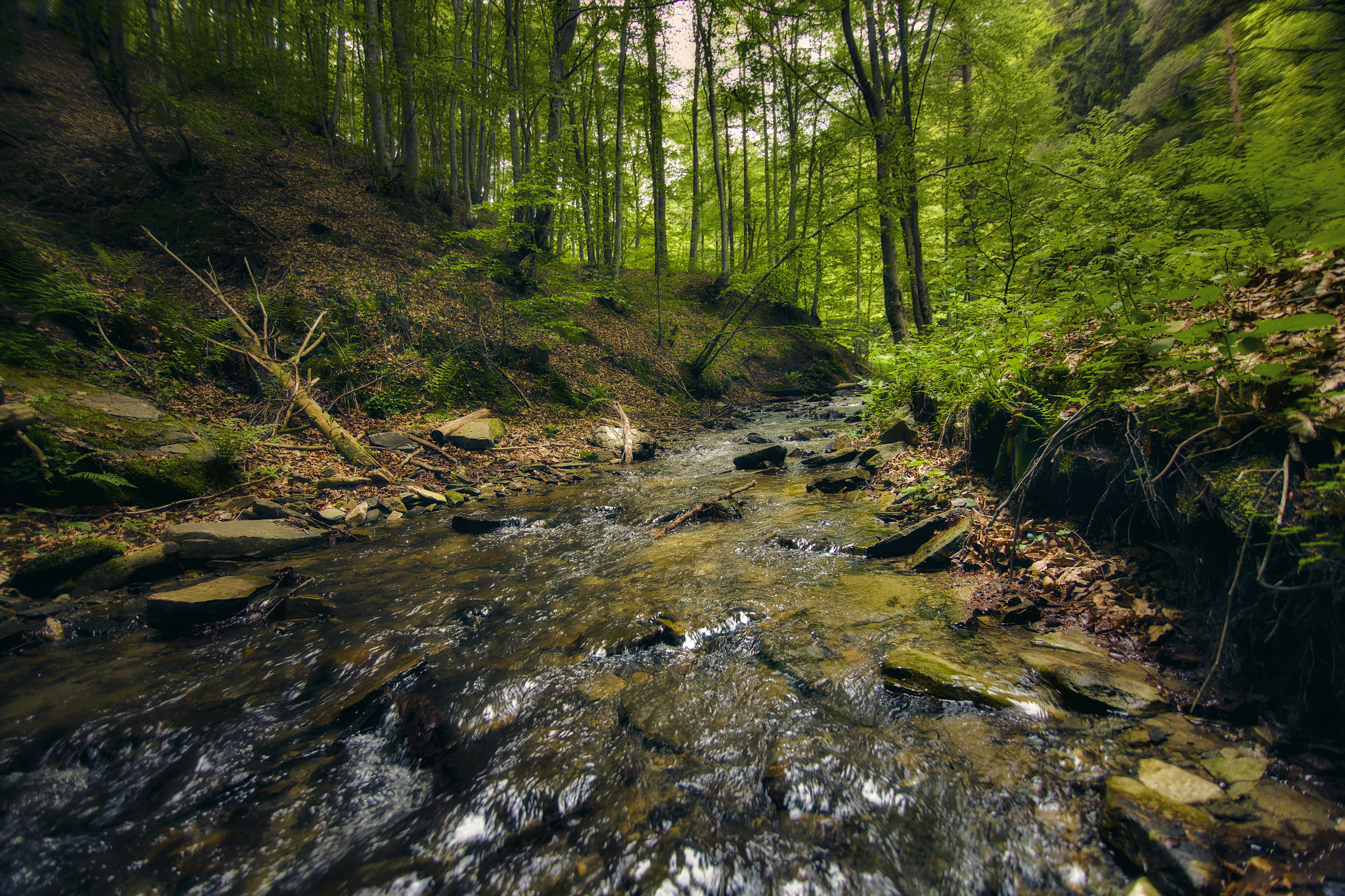 Photo by blooddrainer