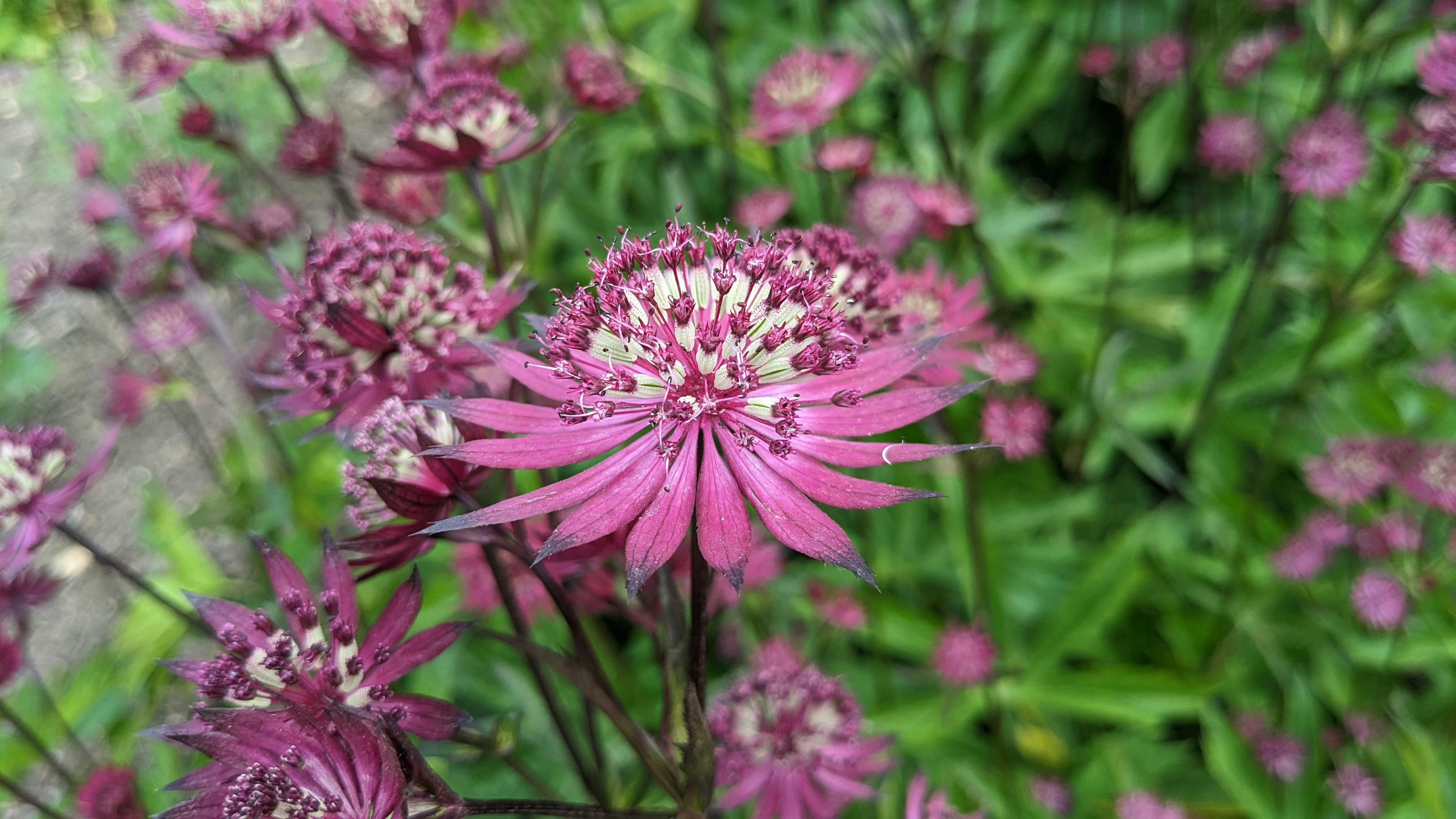 Pricing: Do's and Don'ts for Product Marketing