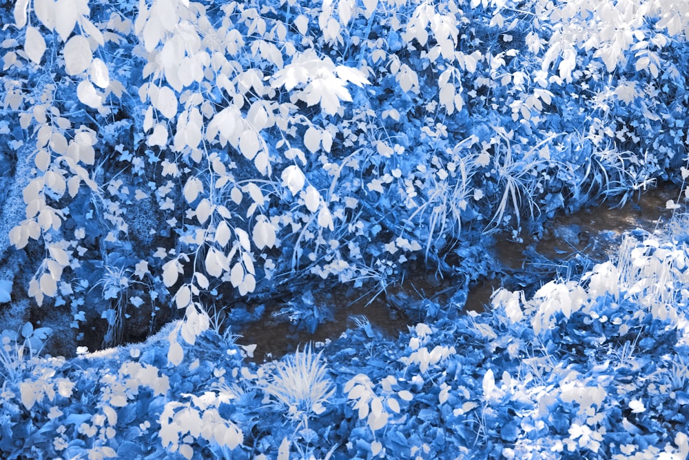 a painting of blue and white plants and water
