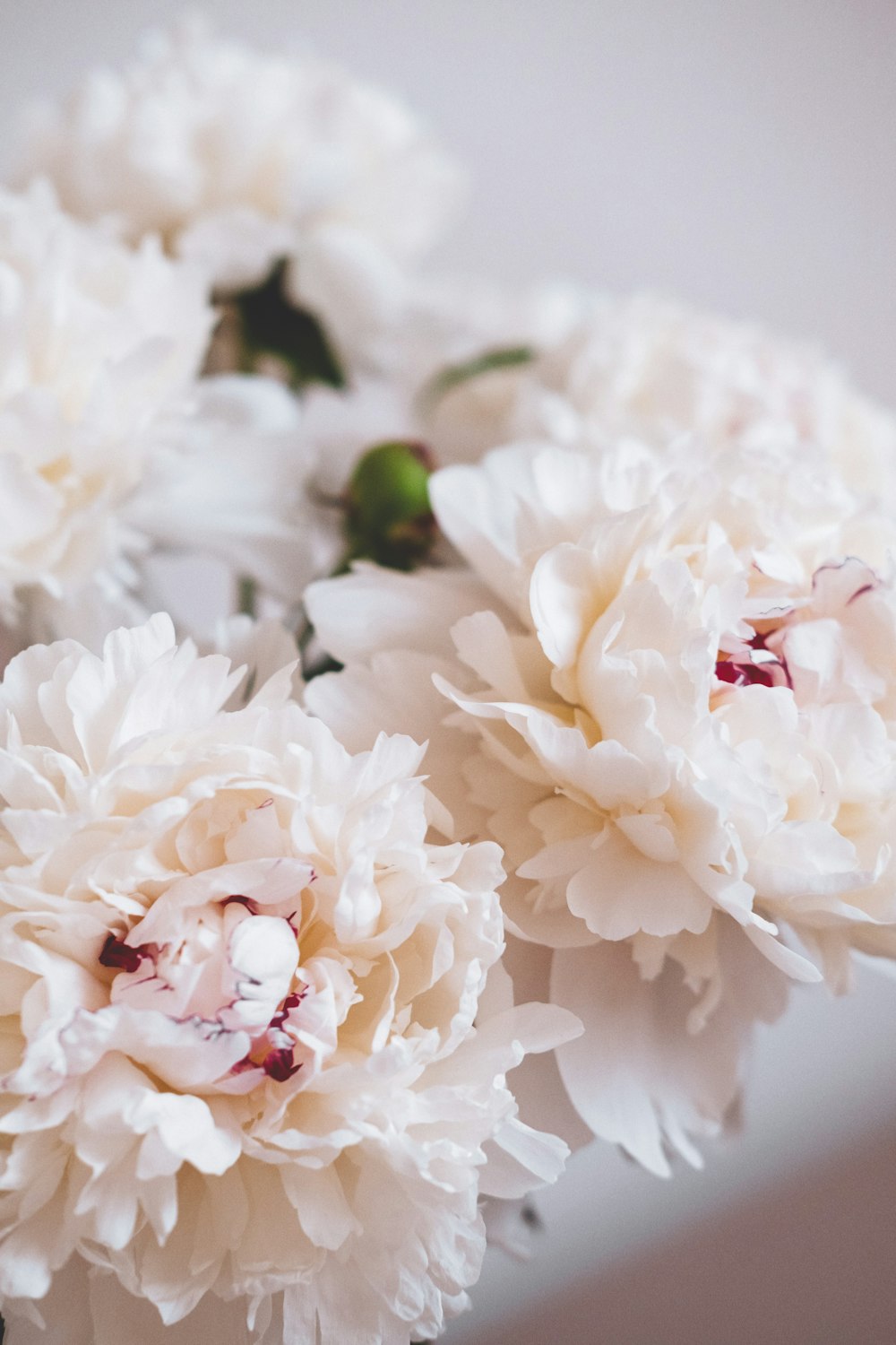 a bunch of white flowers sitting on top of a table