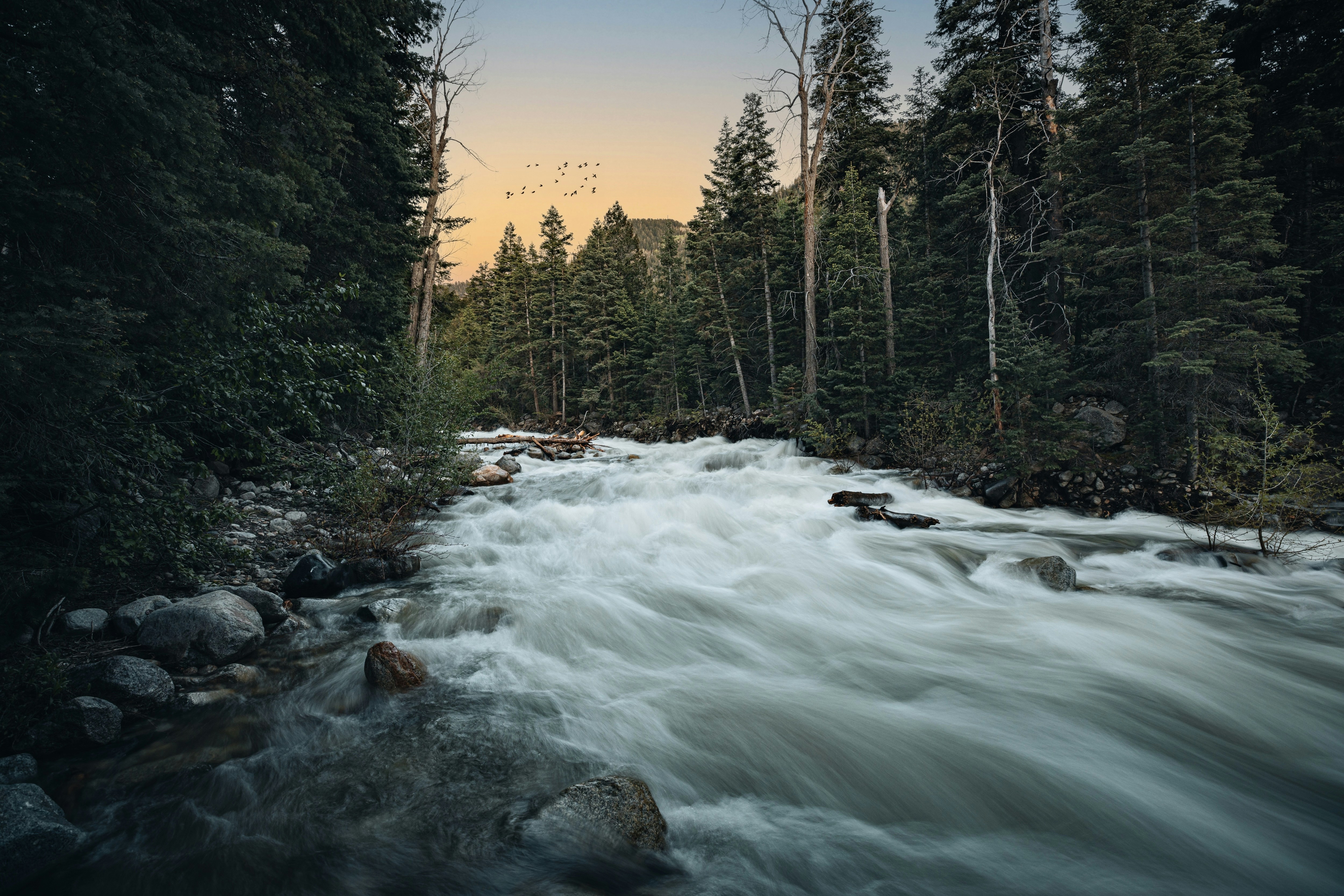 Photo by isaactmitchell