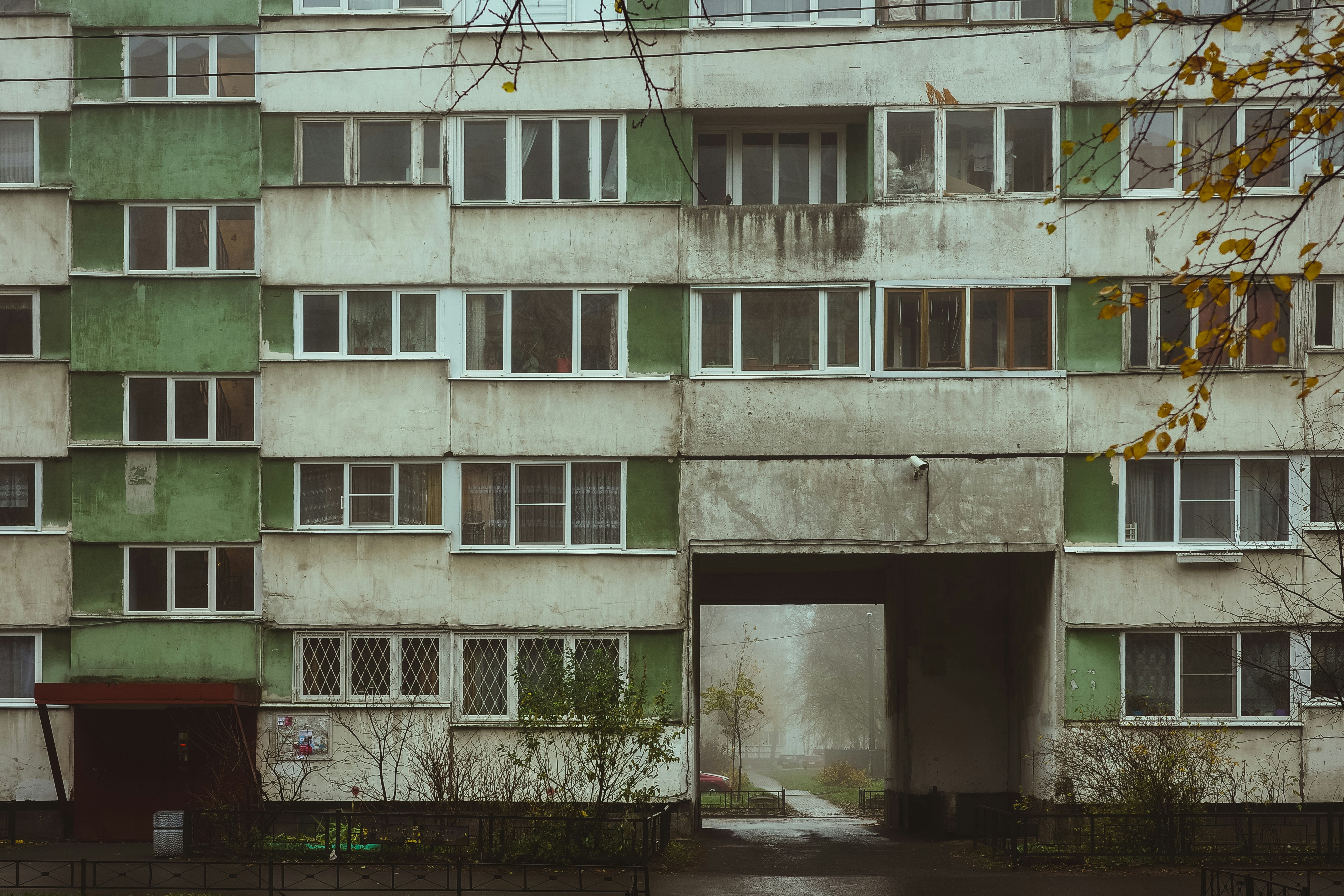 Photo by mirrors_are_more_fun