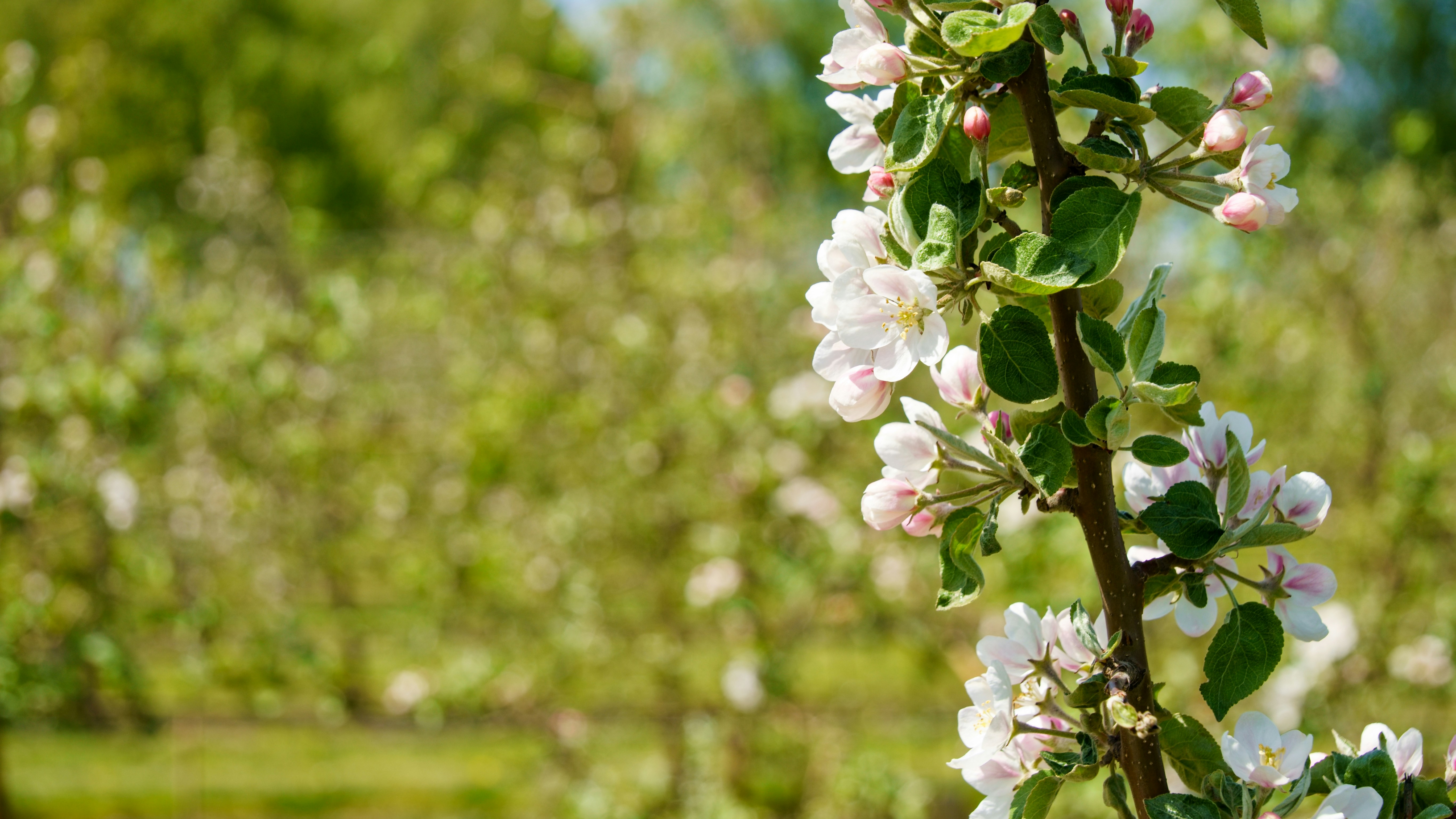 Photo by lipetskaya_zemlya