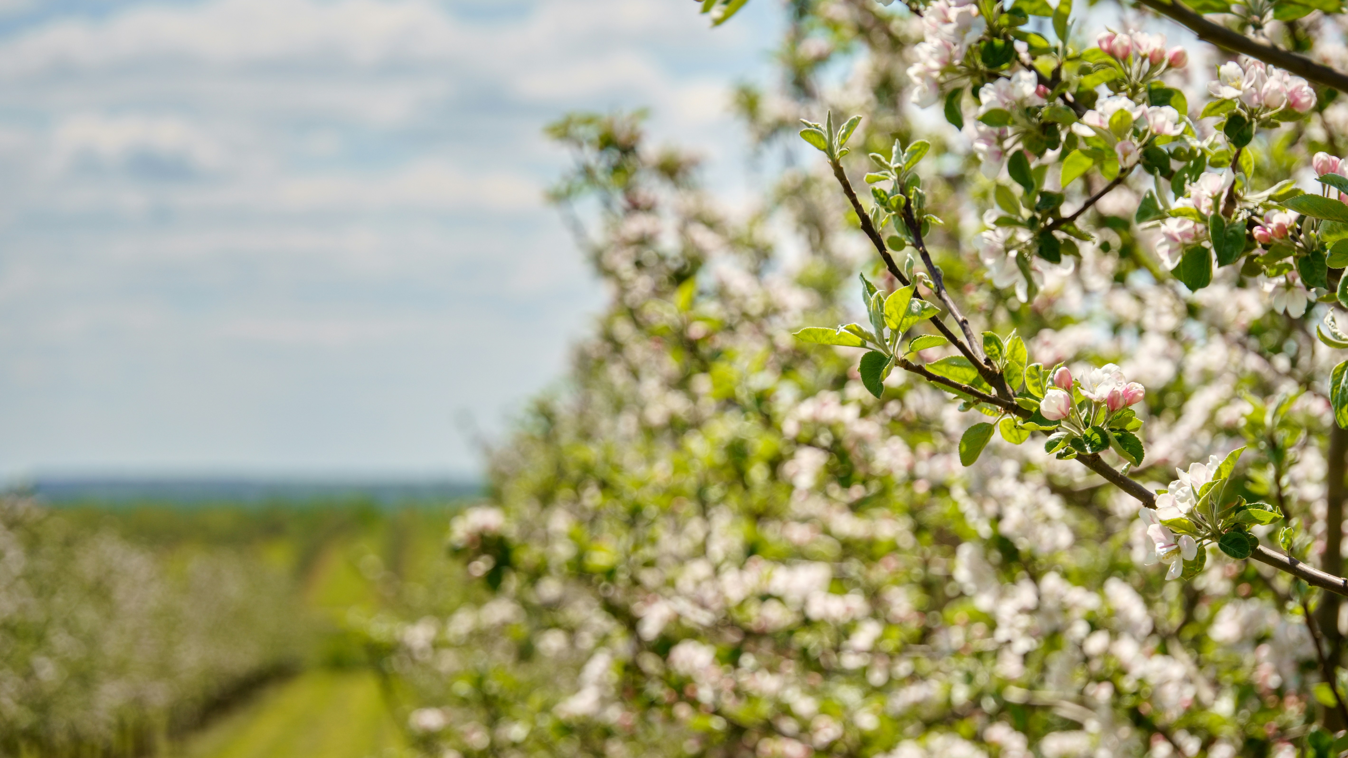 Photo by lipetskaya_zemlya