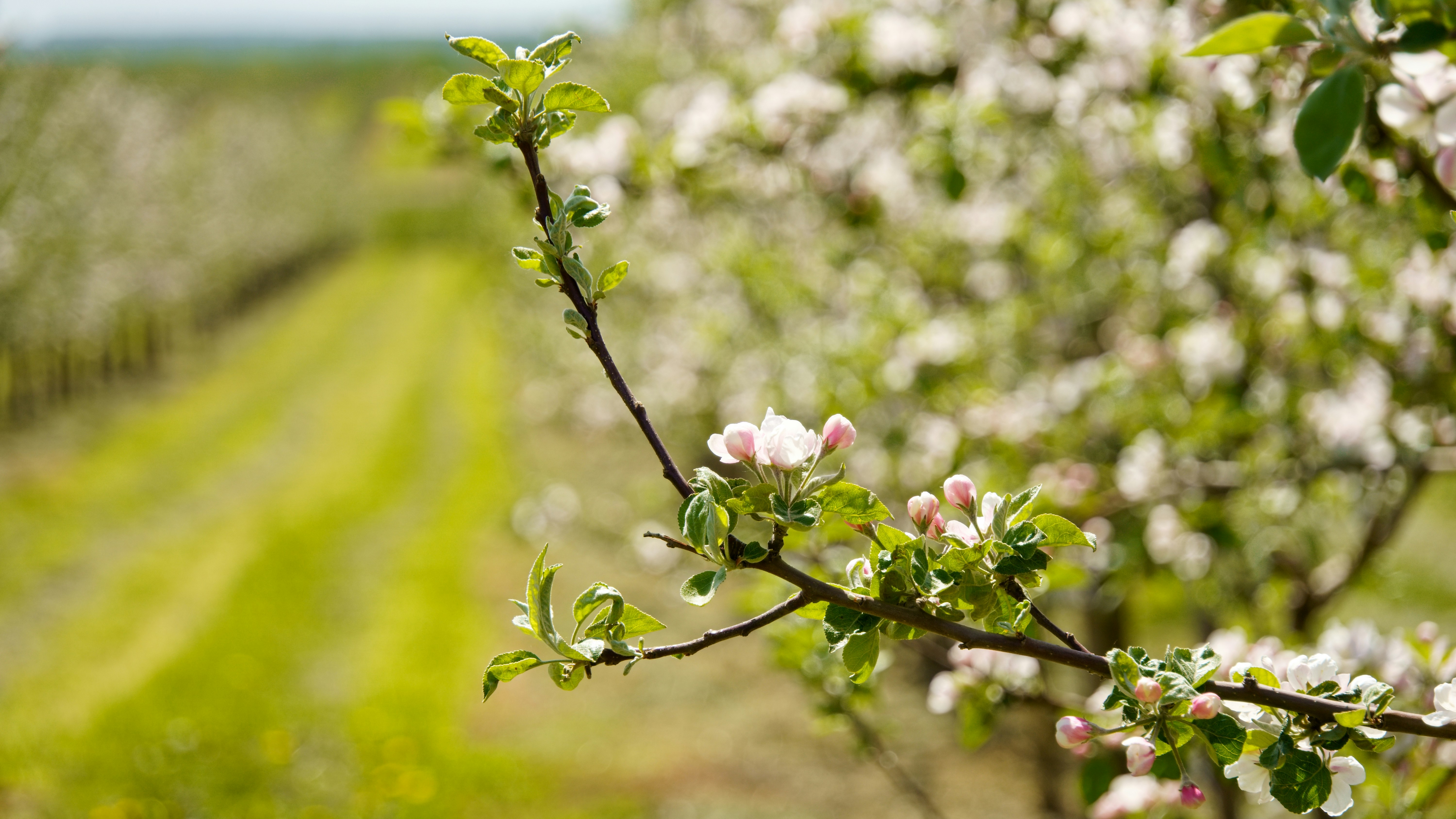 Photo by lipetskaya_zemlya