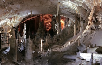 A vast limestone cave filled with numerous stalactites hanging from the ceiling and stalagmites rising from the ground, creating an otherworldly landscape. A pathway with railings allows for safe exploration, and some people are visible examining the formations. Soft lighting highlights the intricate surface of the formations, revealing a rich play of shadows and textures.