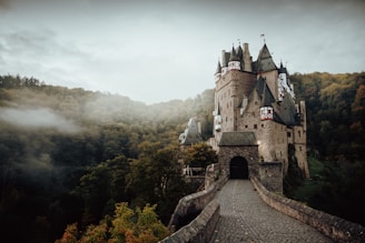 A medieval castle with multiple towers and steep roofs is situated on a hill, surrounded by dense forest. A long stone bridge leads to the front gate of the castle. The surrounding landscape is shrouded in a light mist, creating a mysterious atmosphere.