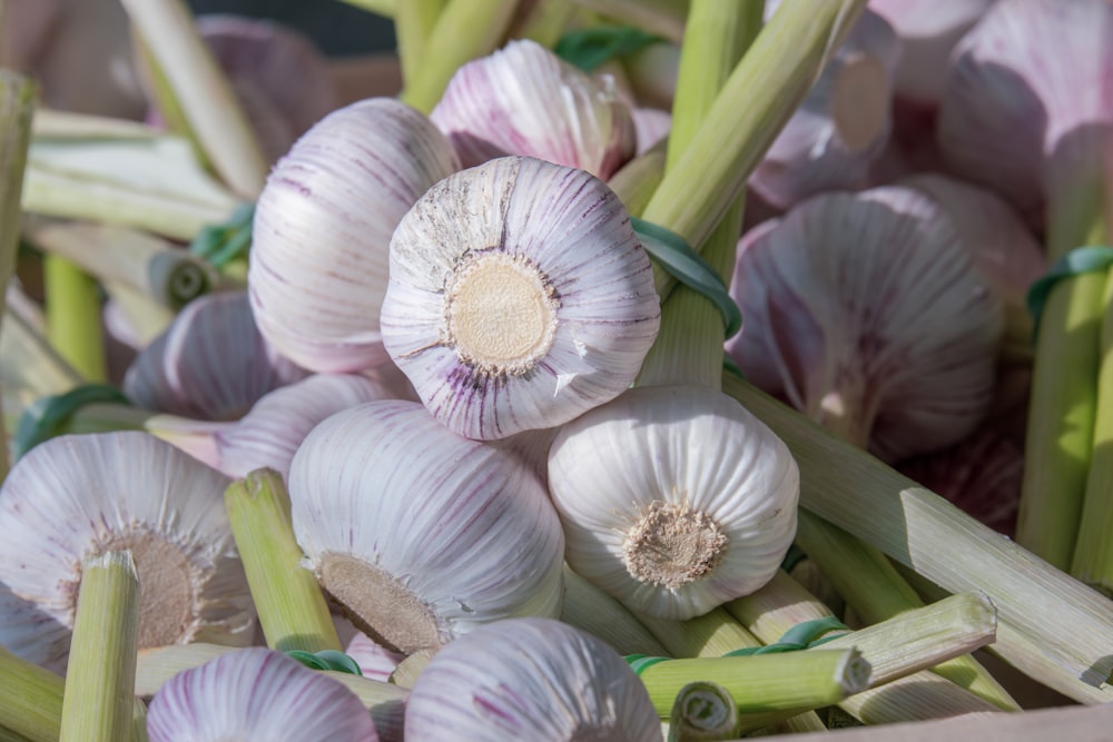 un bouquet d’ail assis l’un à côté de l’autre