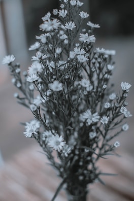 Softly lit detail of a floral bouquet with muted, neutral tones.